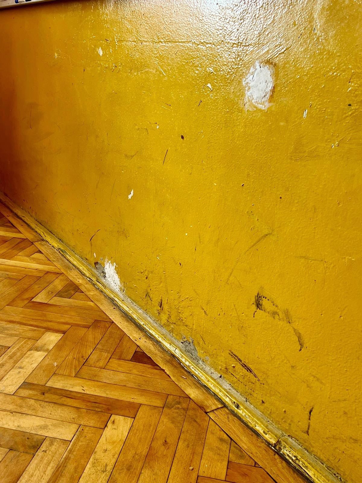 stricaciuni scoala Sag (2)