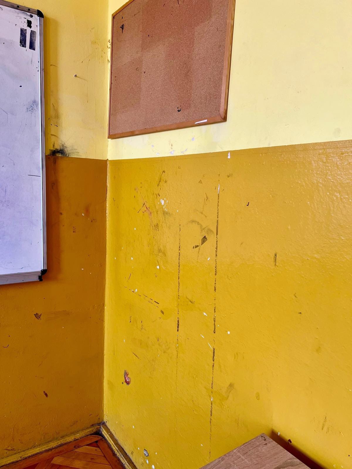 stricaciuni scoala Sag (4)