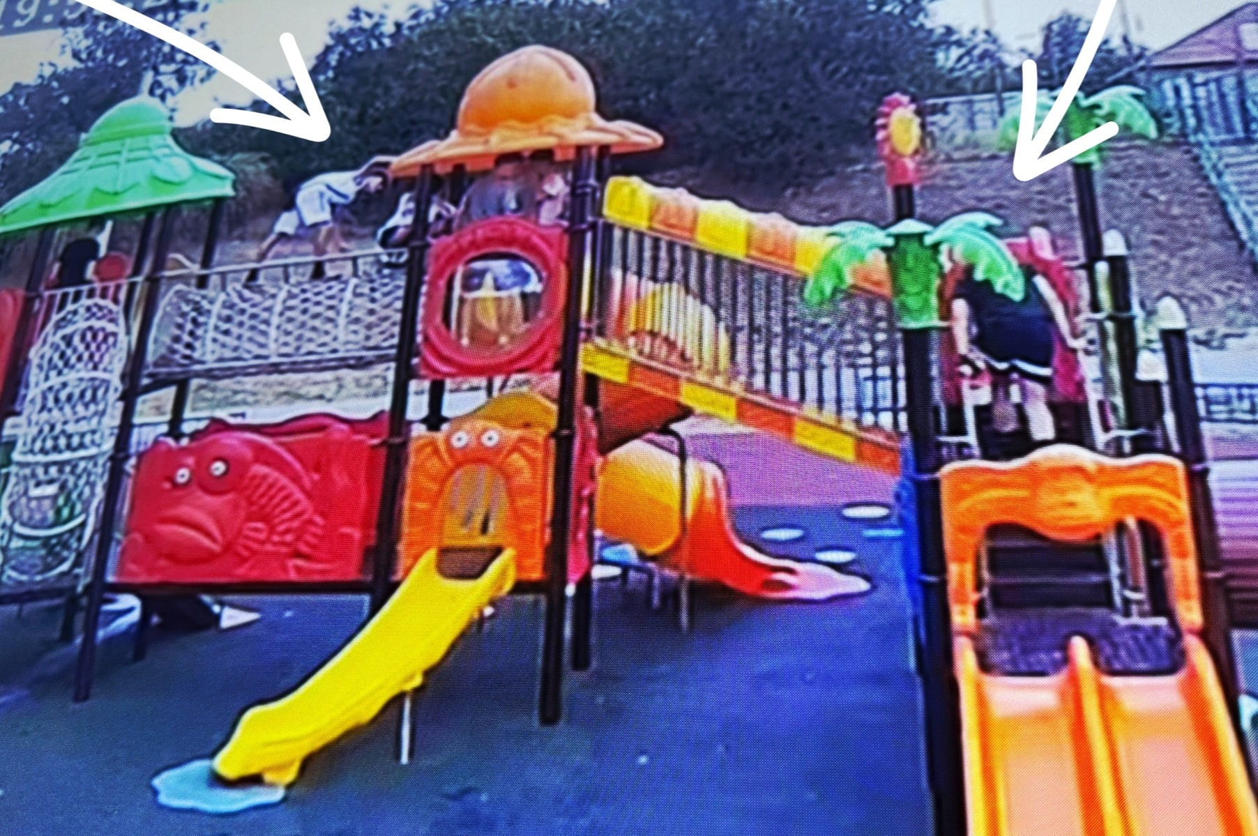 vandalizare Giarmata (4)