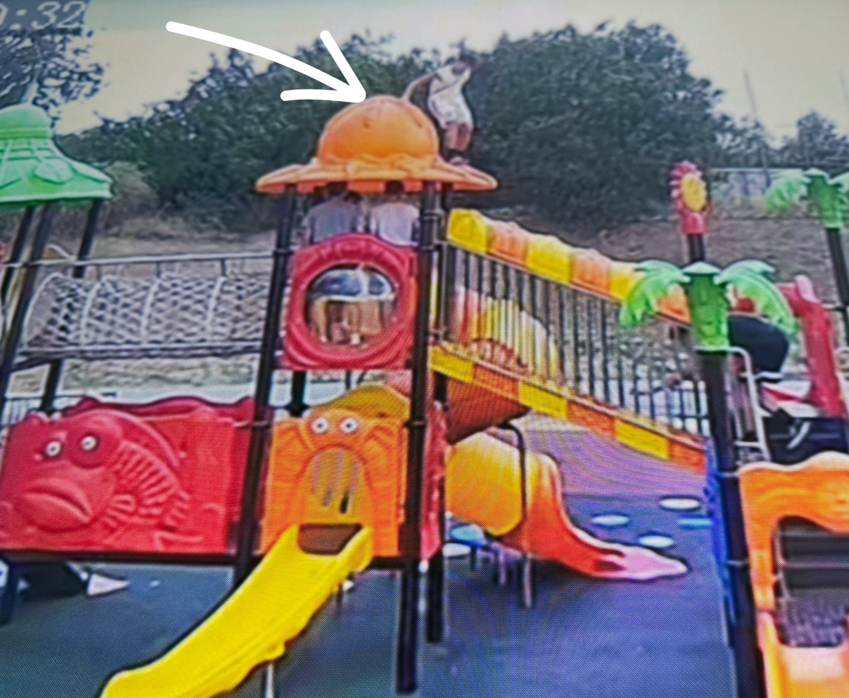 vandalizare Giarmata (1)