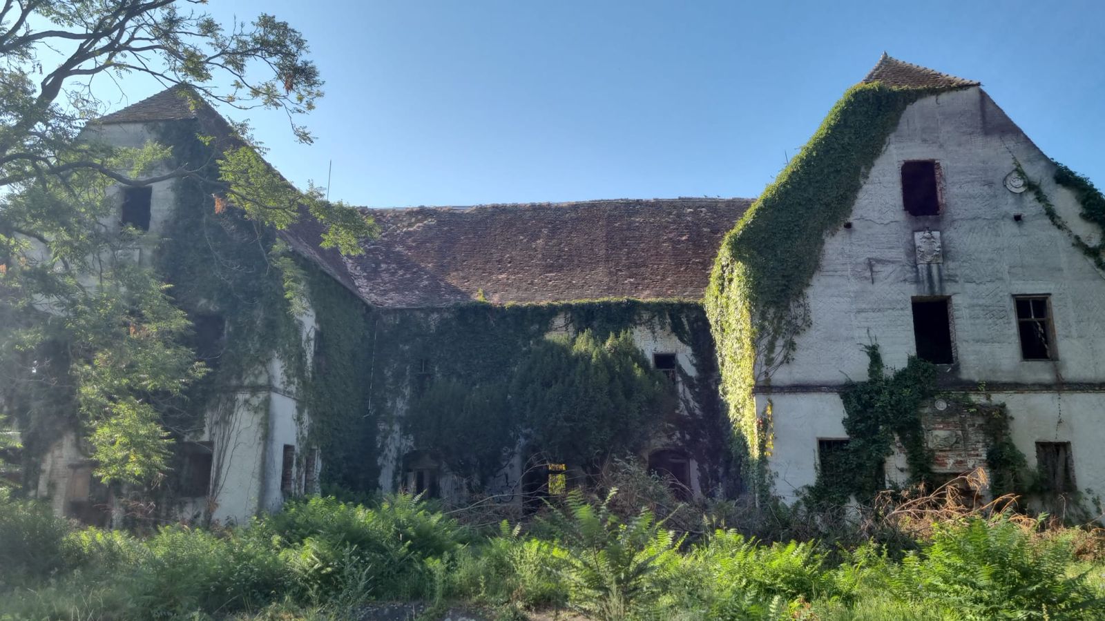 castel banloc dupa furtuna (3)