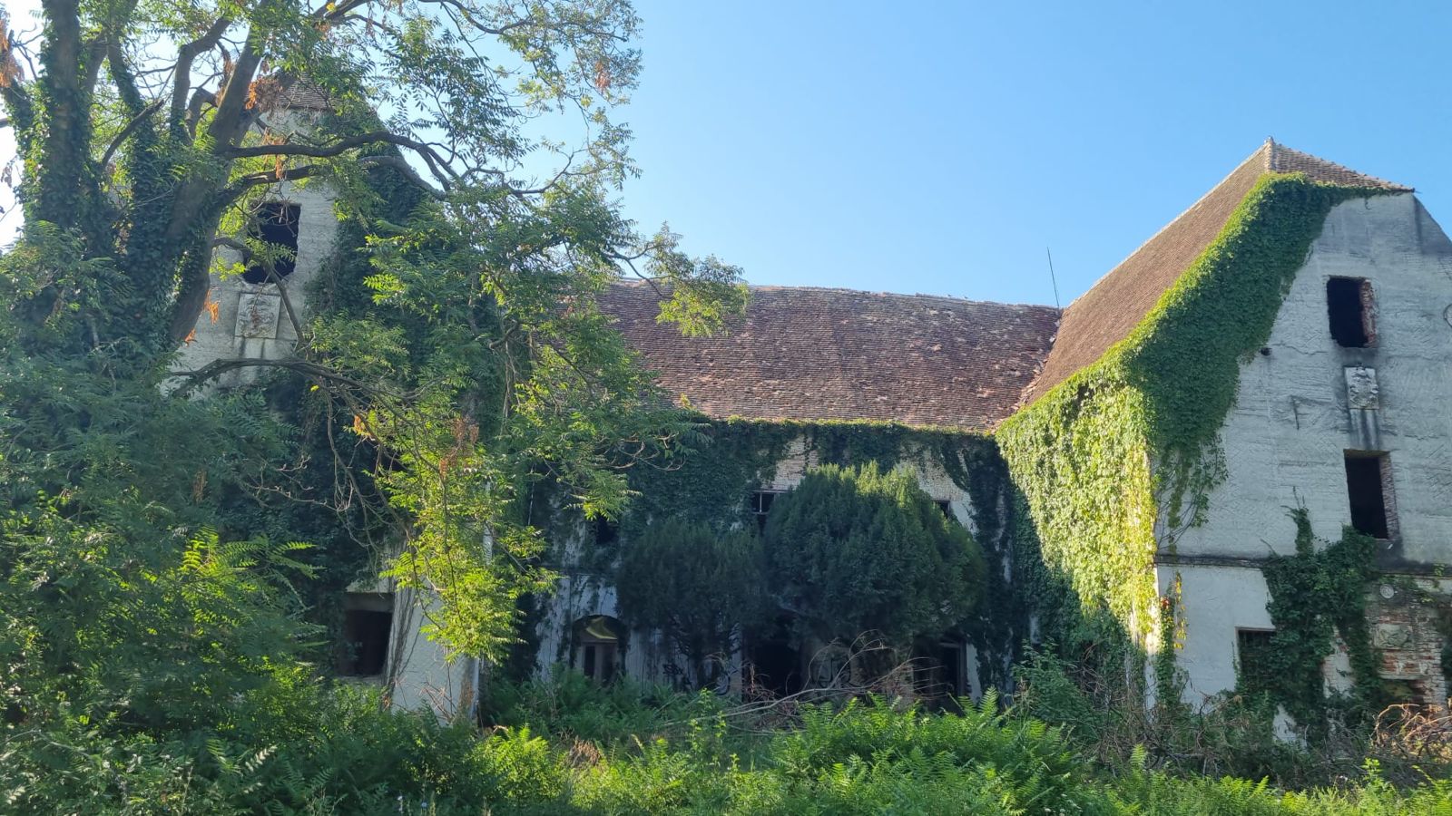 castel banloc dupa furtuna (7)