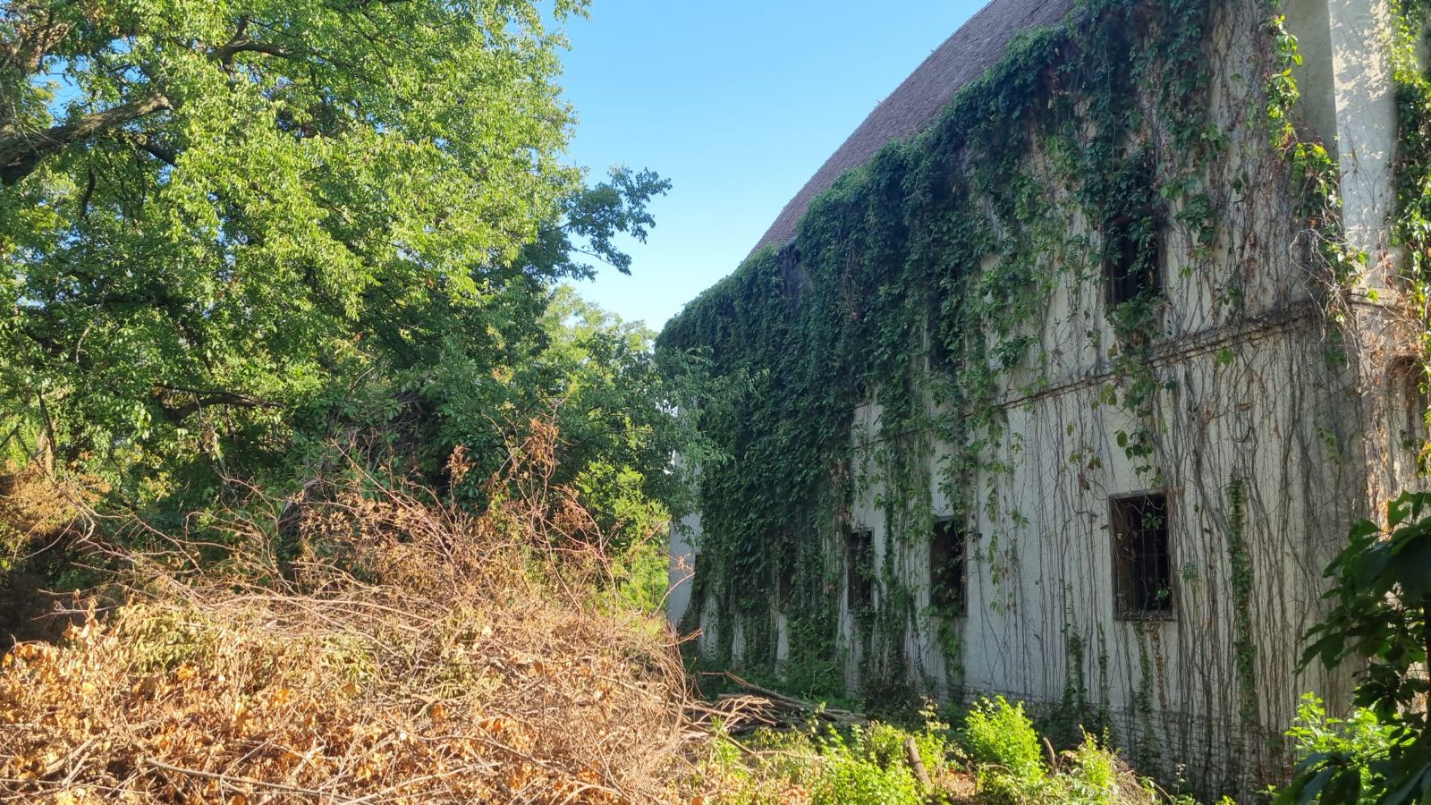 castel banloc dupa furtuna (1)