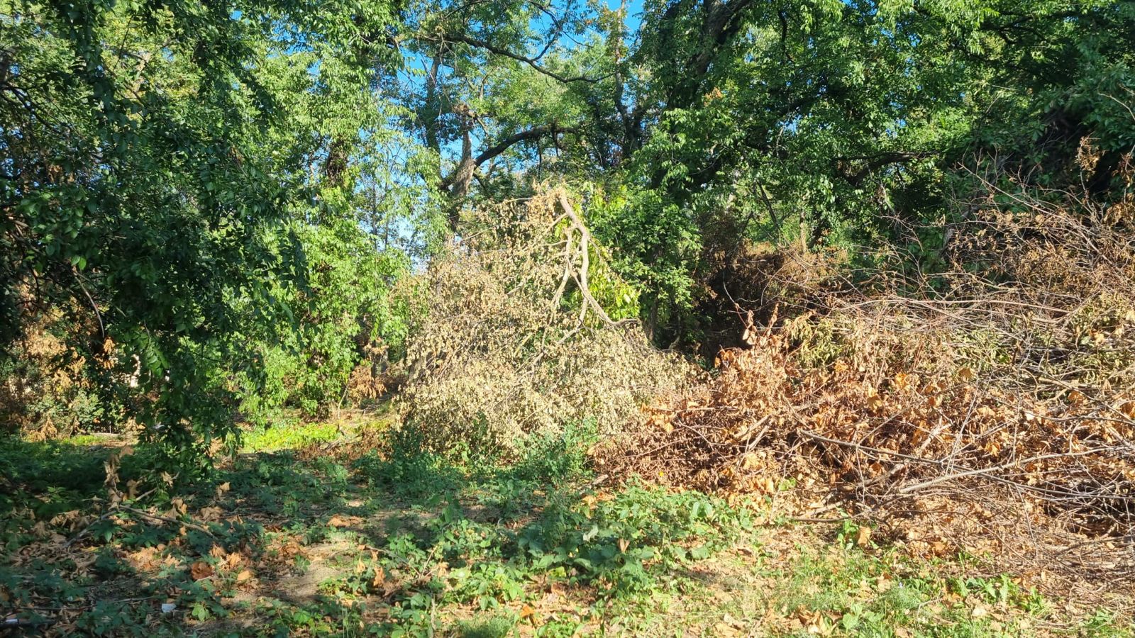 castel banloc dupa furtuna (9)