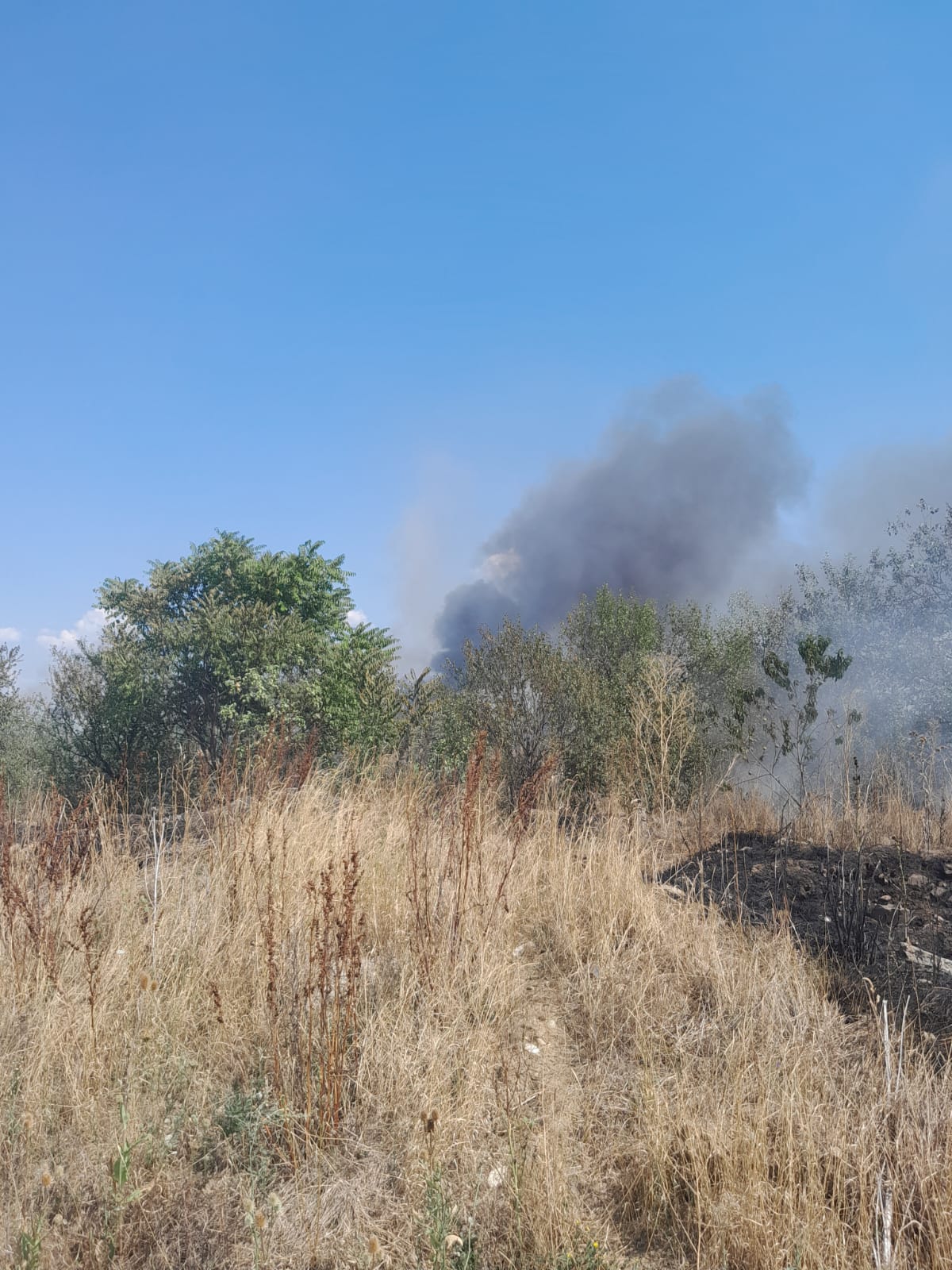 WhatsApp Image 2025-08-16 at 17.13.49 (2)