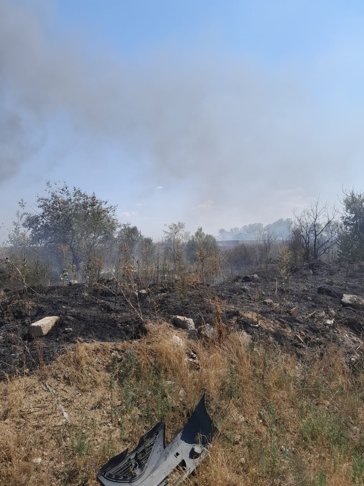 WhatsApp Image 2025-08-16 at 17.13.49