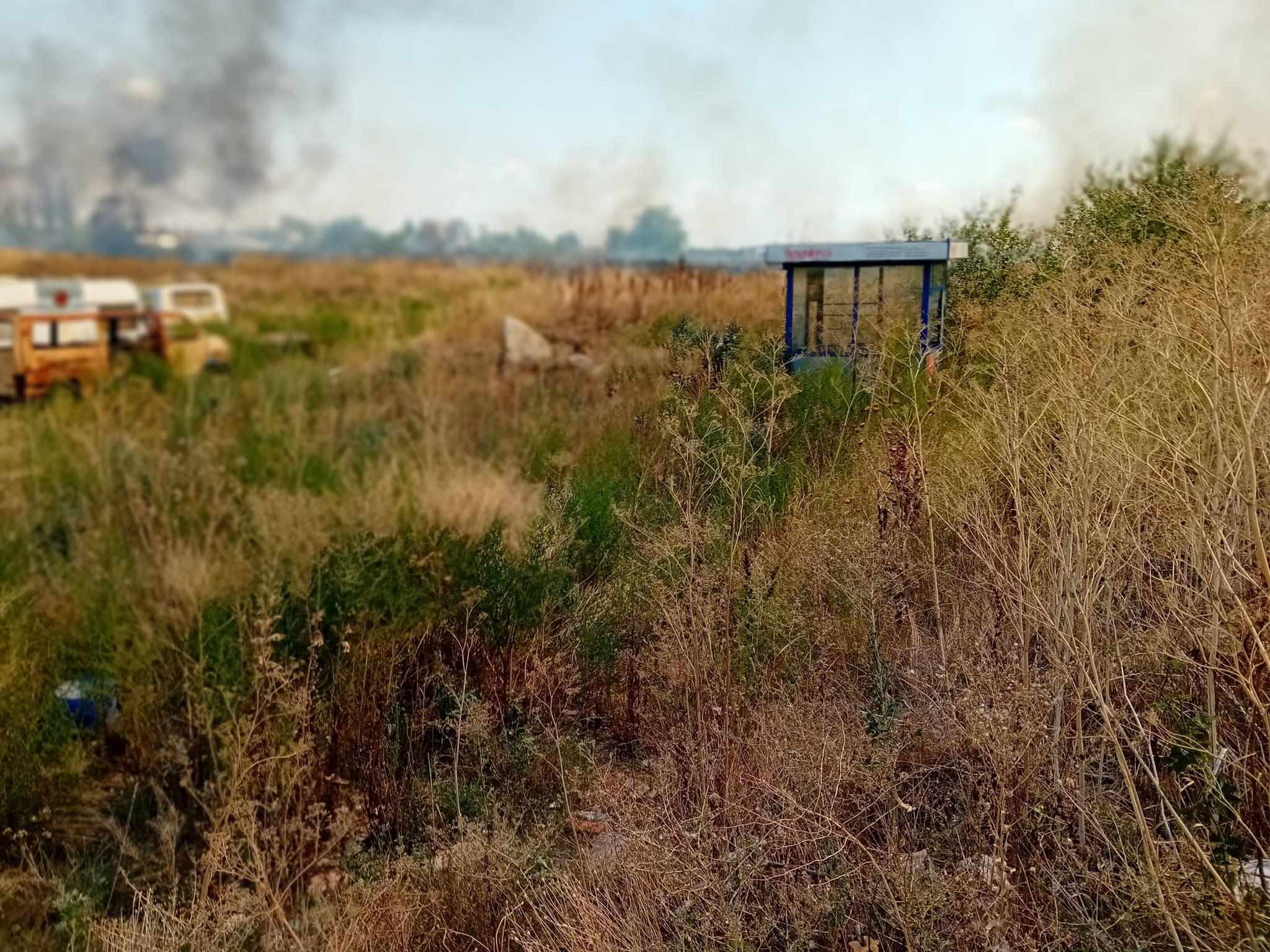 WhatsApp Image 2025-08-16 at 17.13.48