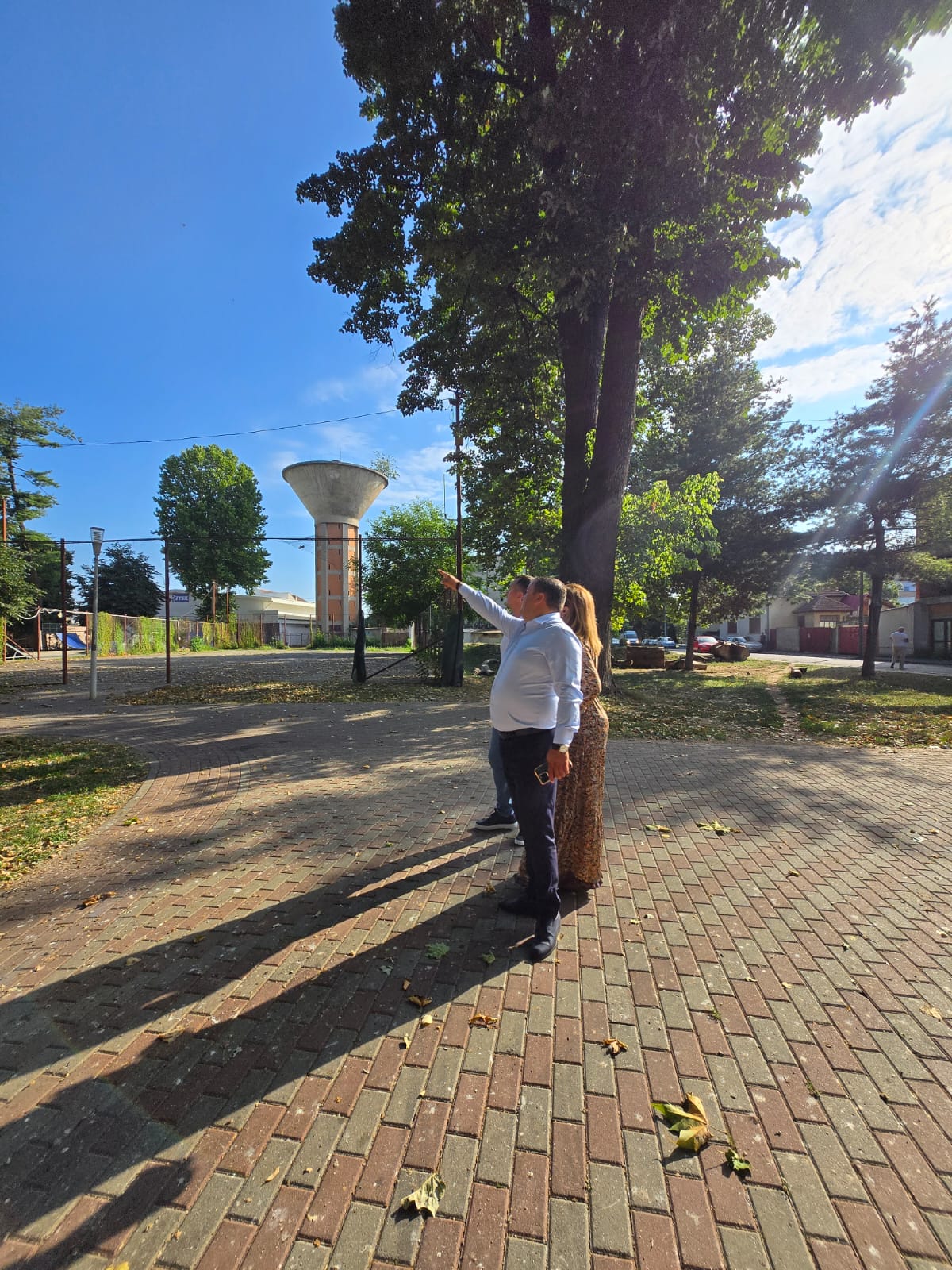 curatenie parcuri lugoj (1)