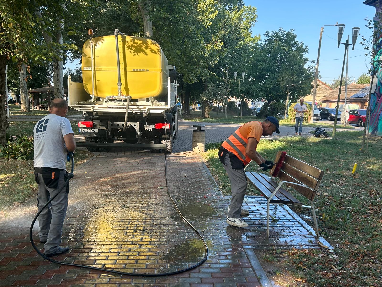 curatenie parcuri lugoj (3)