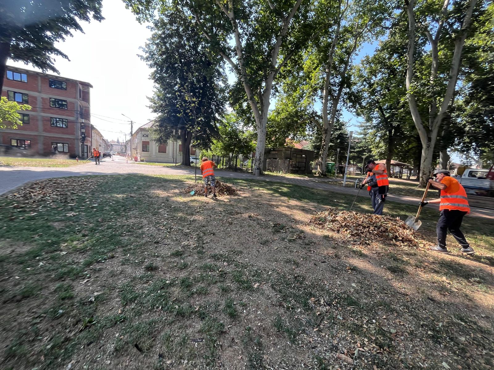 curatenie parcuri lugoj (5)