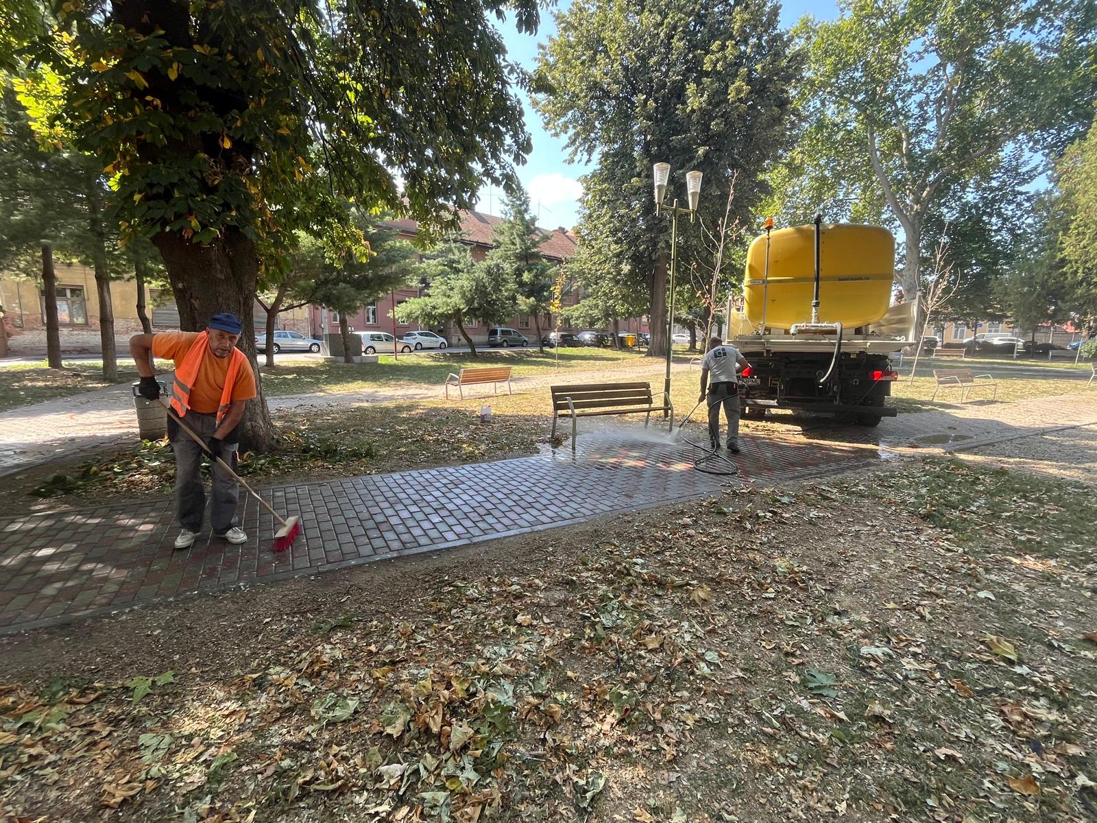 curatenie parcuri lugoj (6)