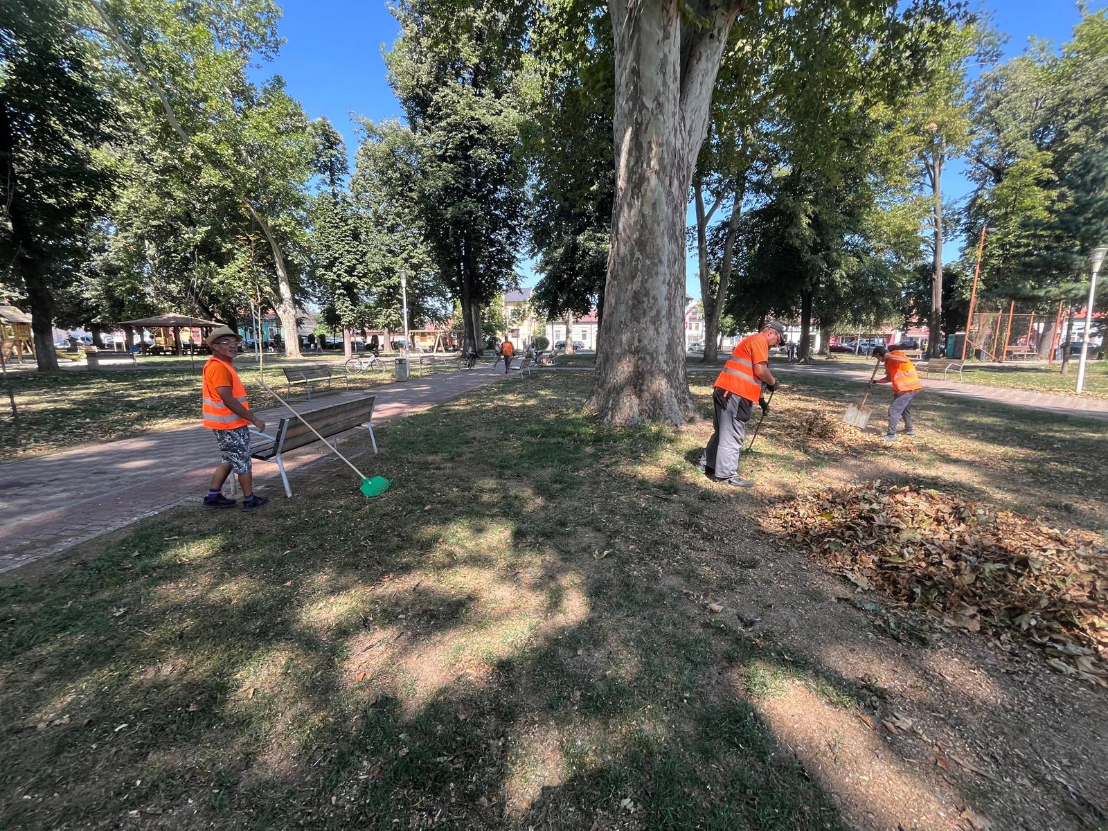 curatenie parcuri lugoj (7)