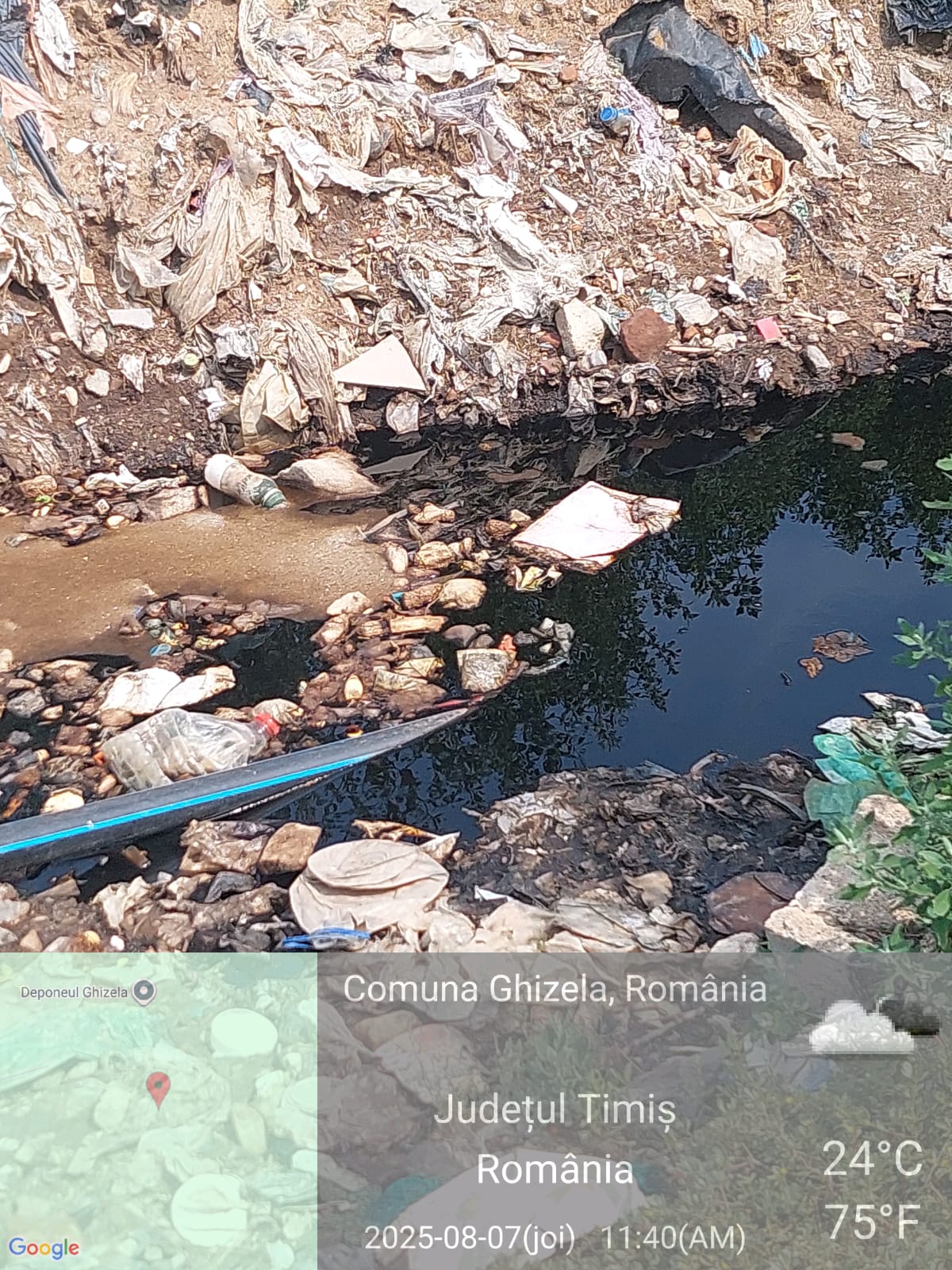 ghizela deponeu amendă garda de mediu (4)