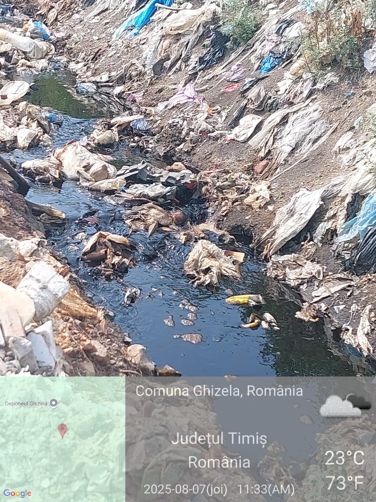 ghizela deponeu amendă garda de mediu (5)