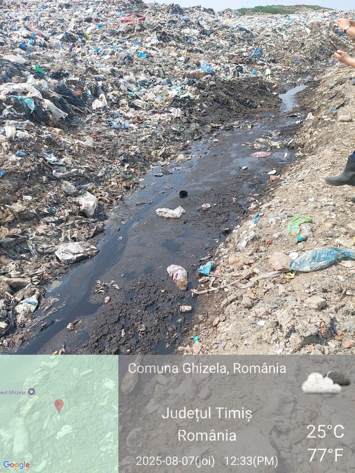 ghizela deponeu amendă garda de mediu (1)