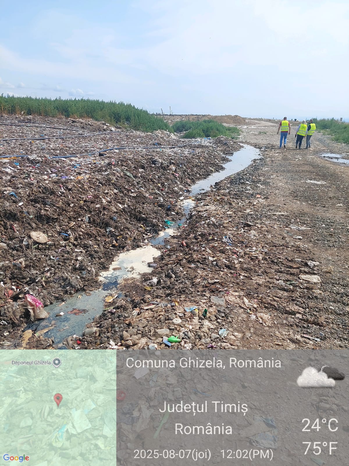 ghizela deponeu amendă garda de mediu (2)