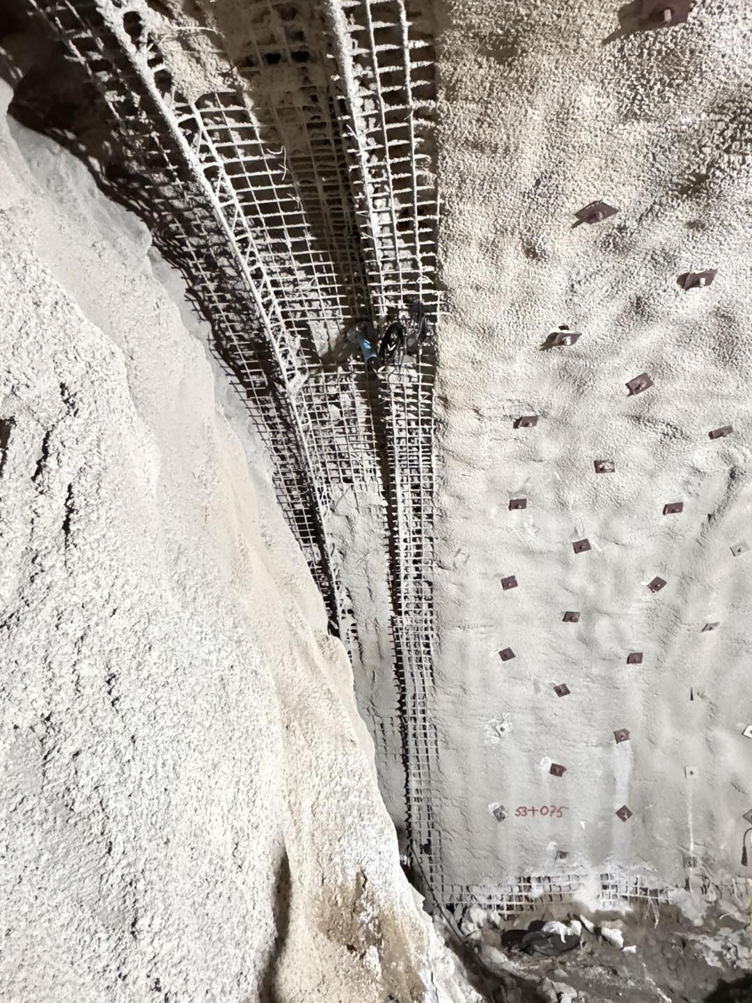 Margina Holdea august 2025 (9)