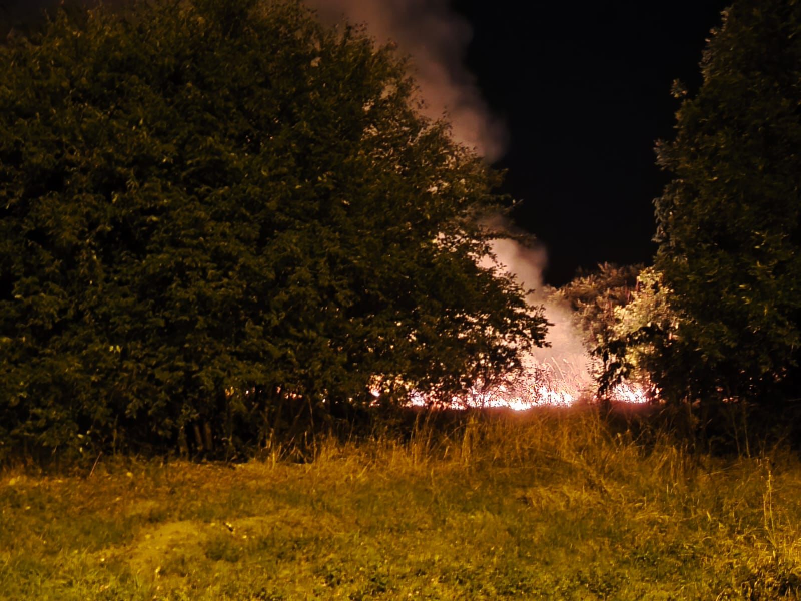 incendii blascovici (2)