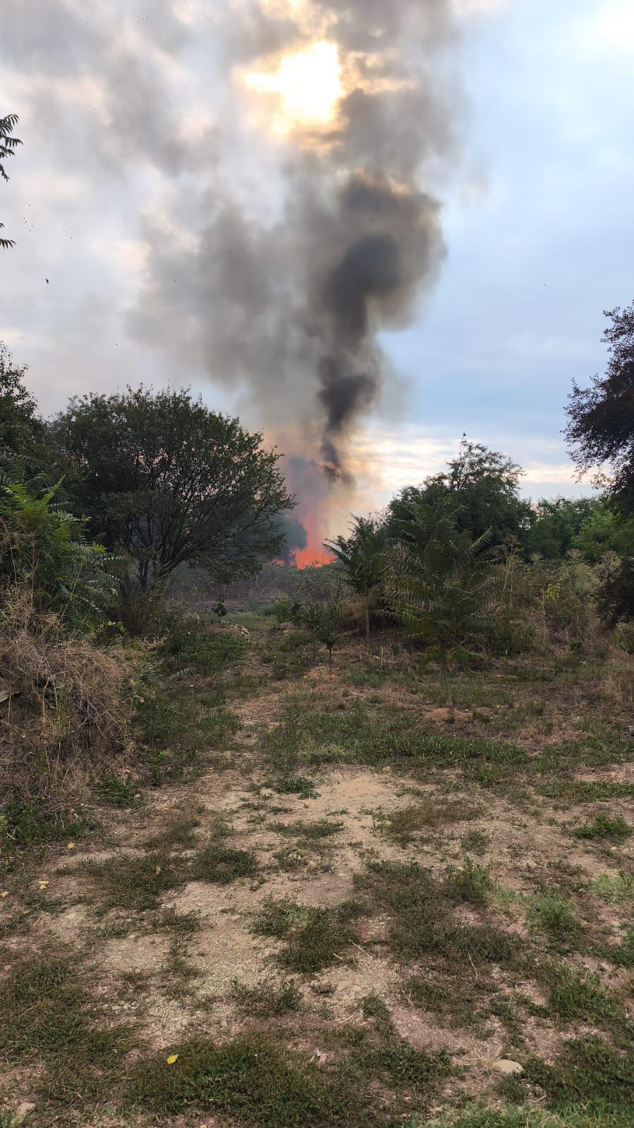 incendii blascovici (4)