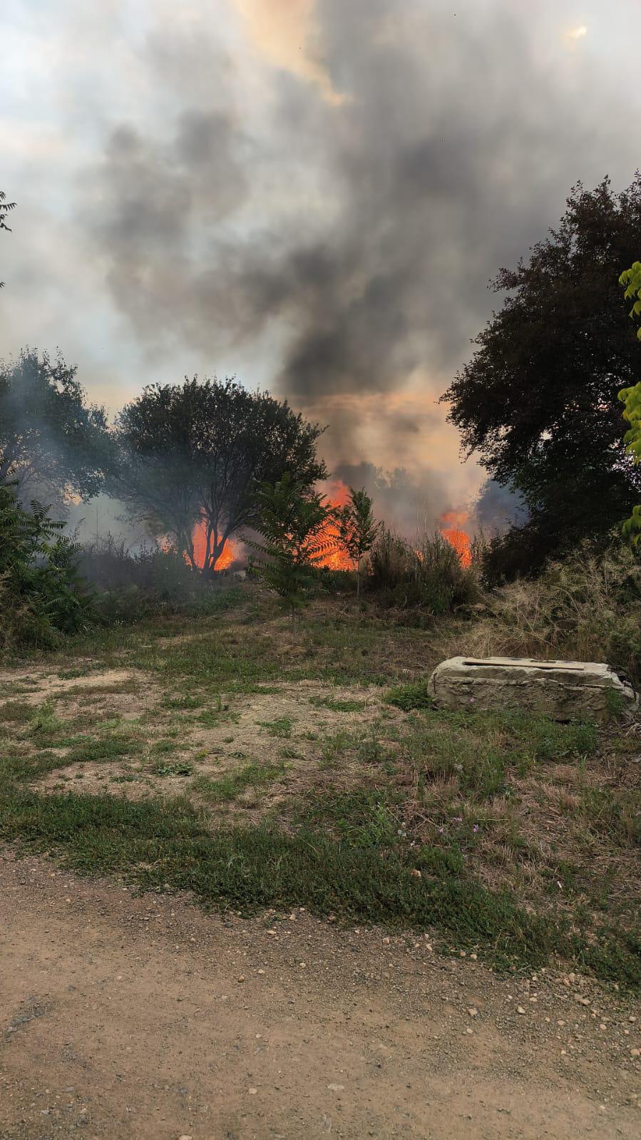 incendii blascovici (6)