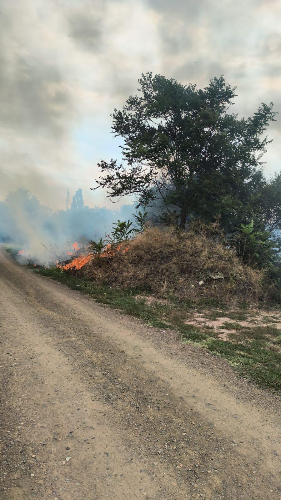 incendii blascovici (7)