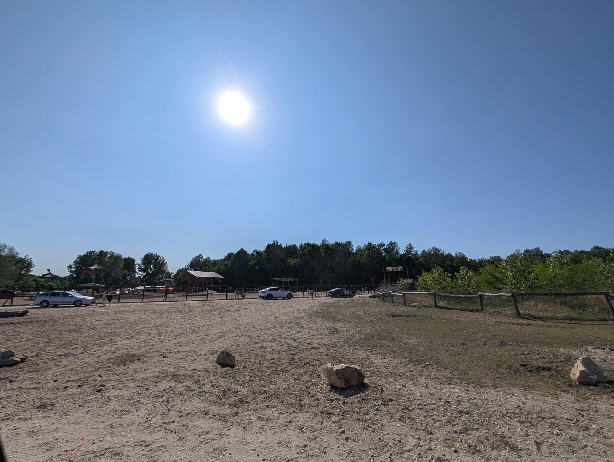 safari richter park (1)