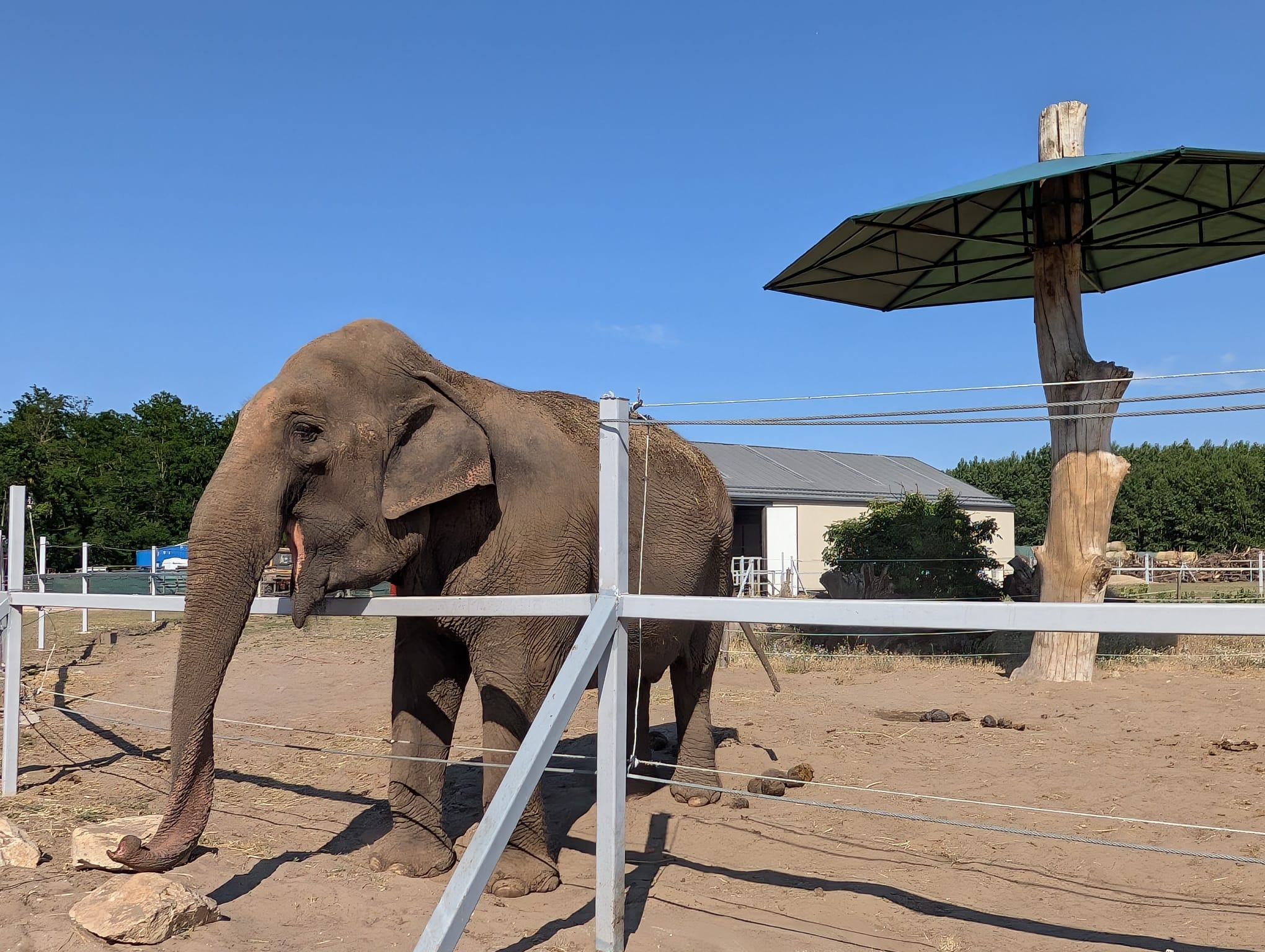 safari richter park (2)