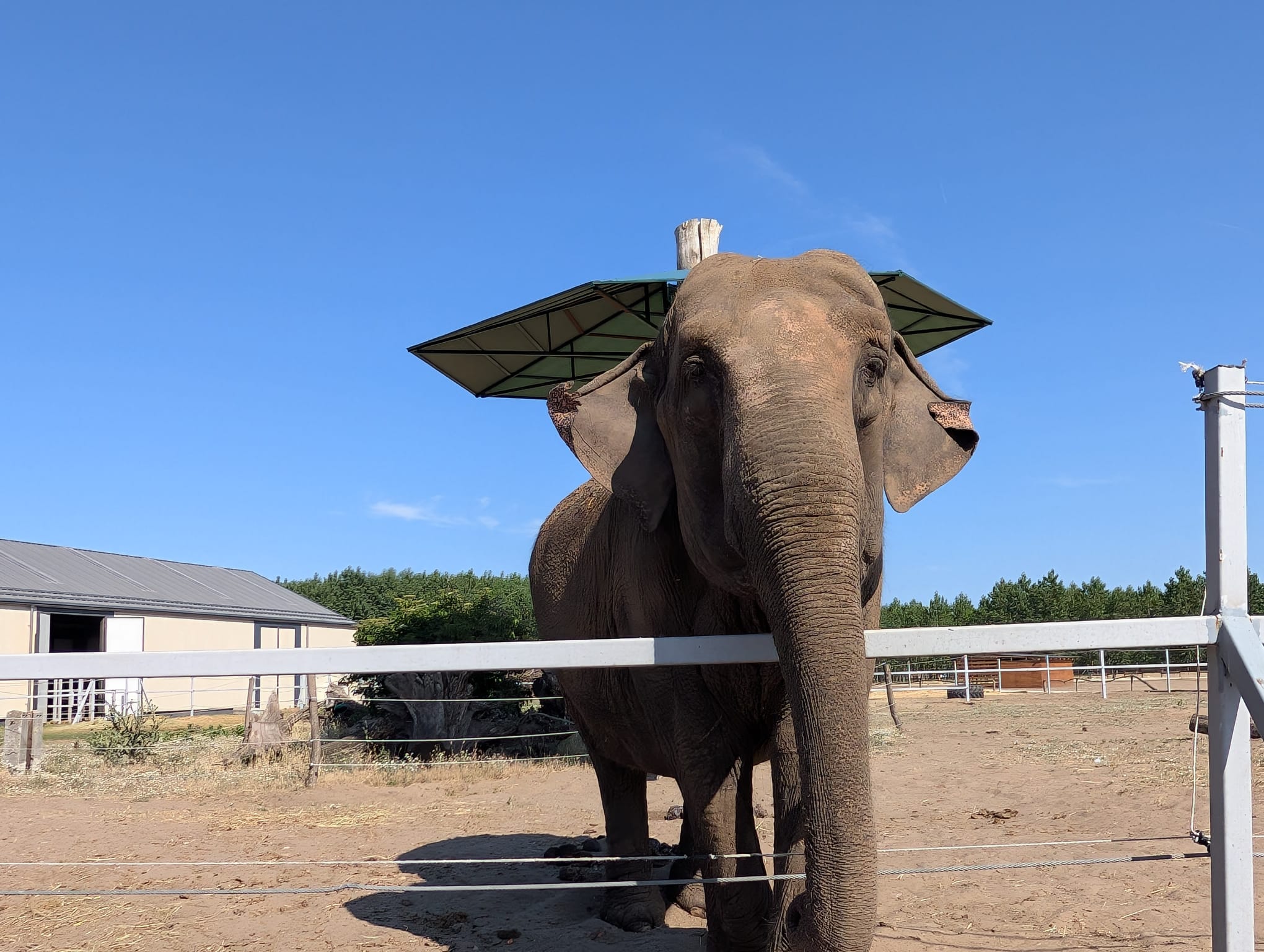 safari richter park (3)