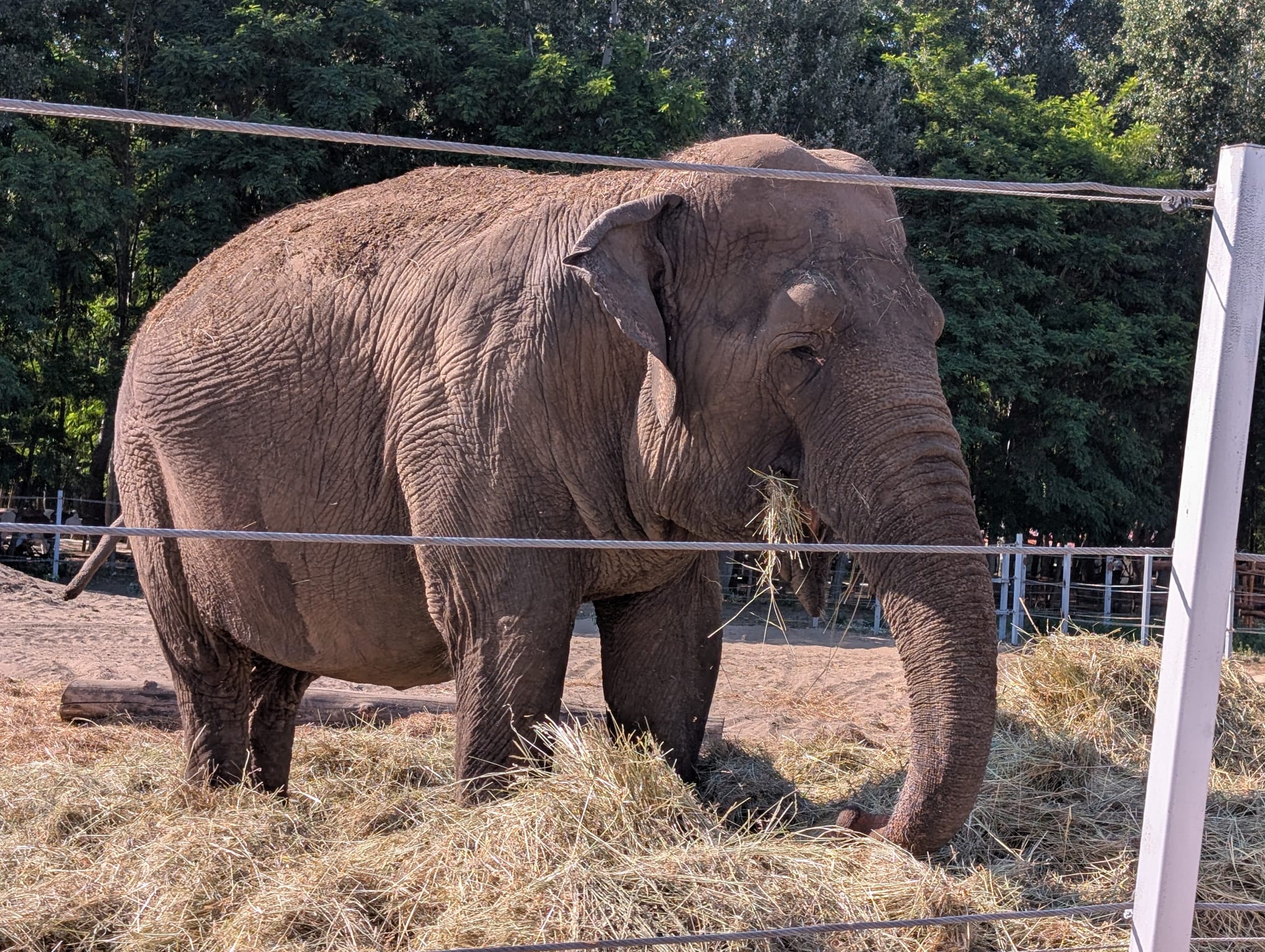 safari richter park (4)