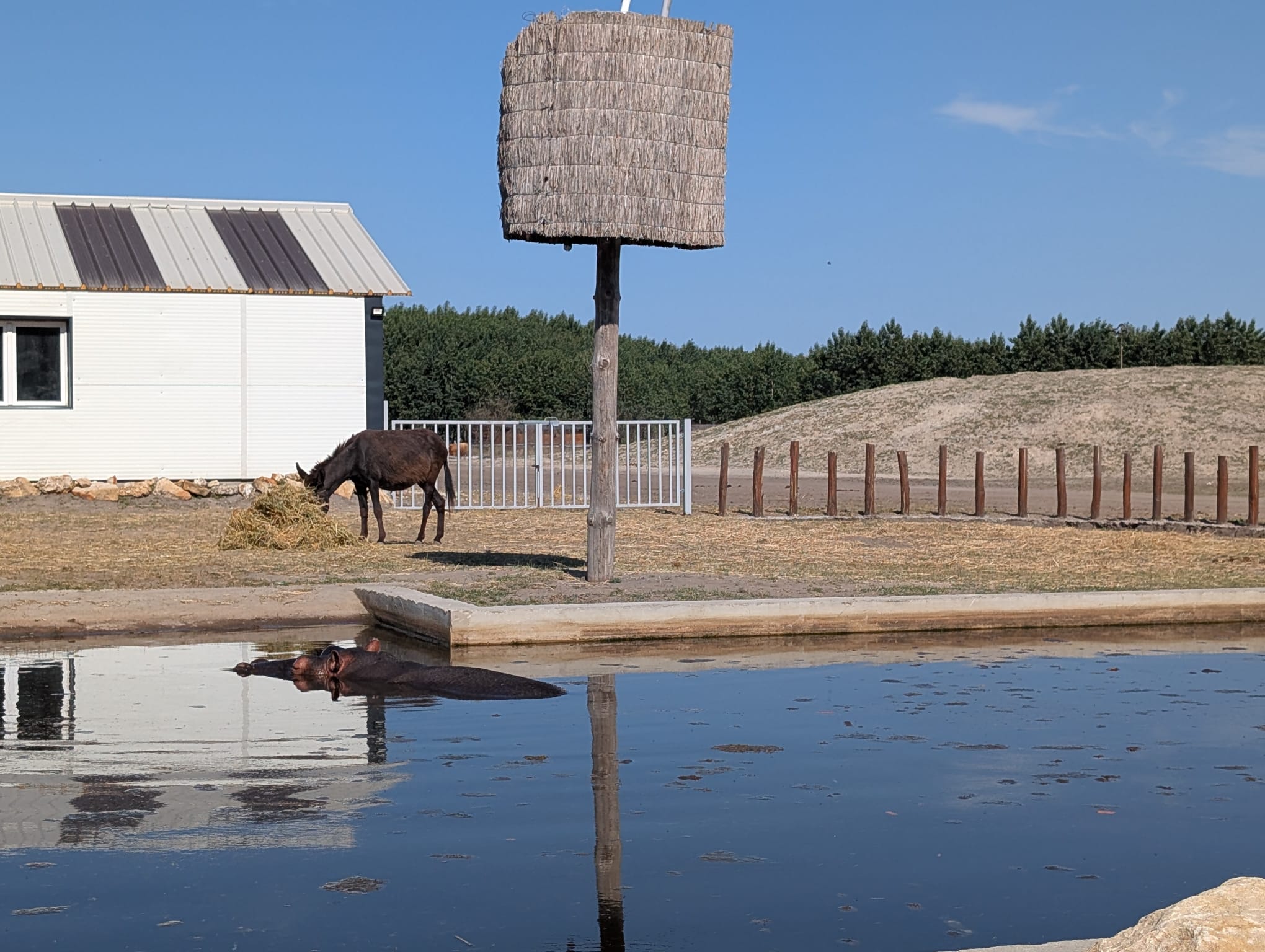 safari richter park (5)