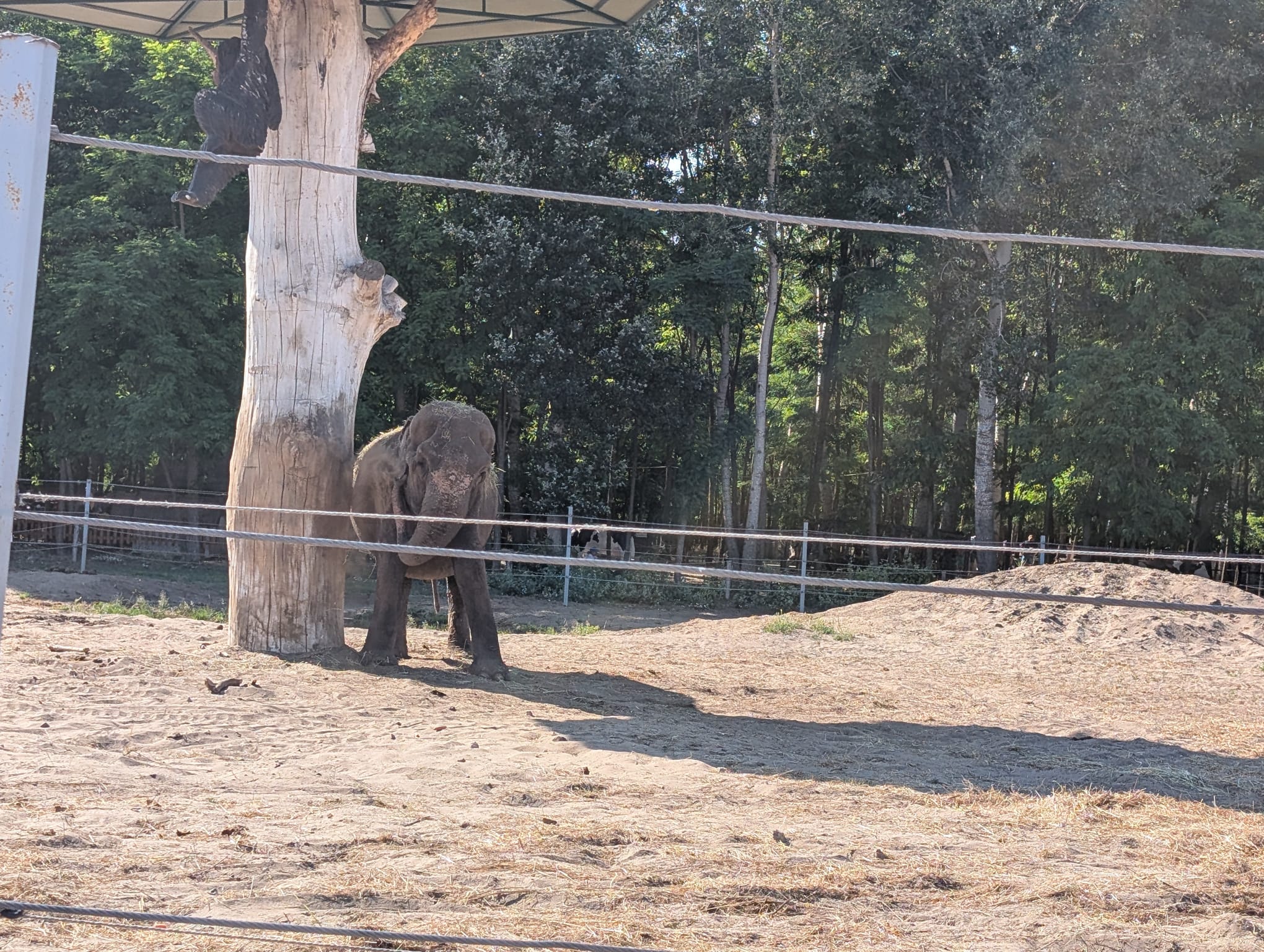 safari richter park (6)