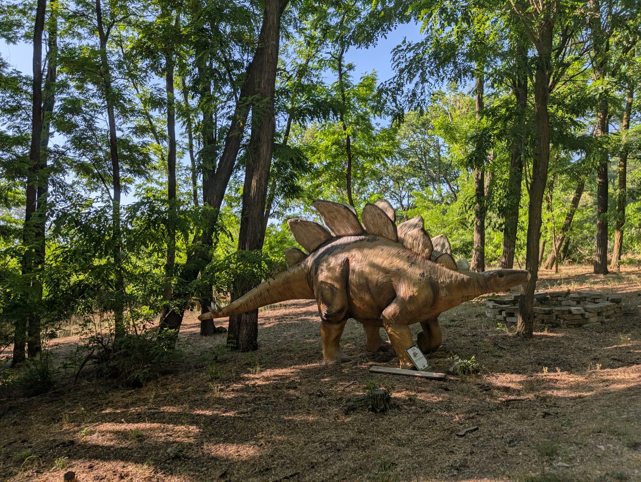 safari richter park (11)