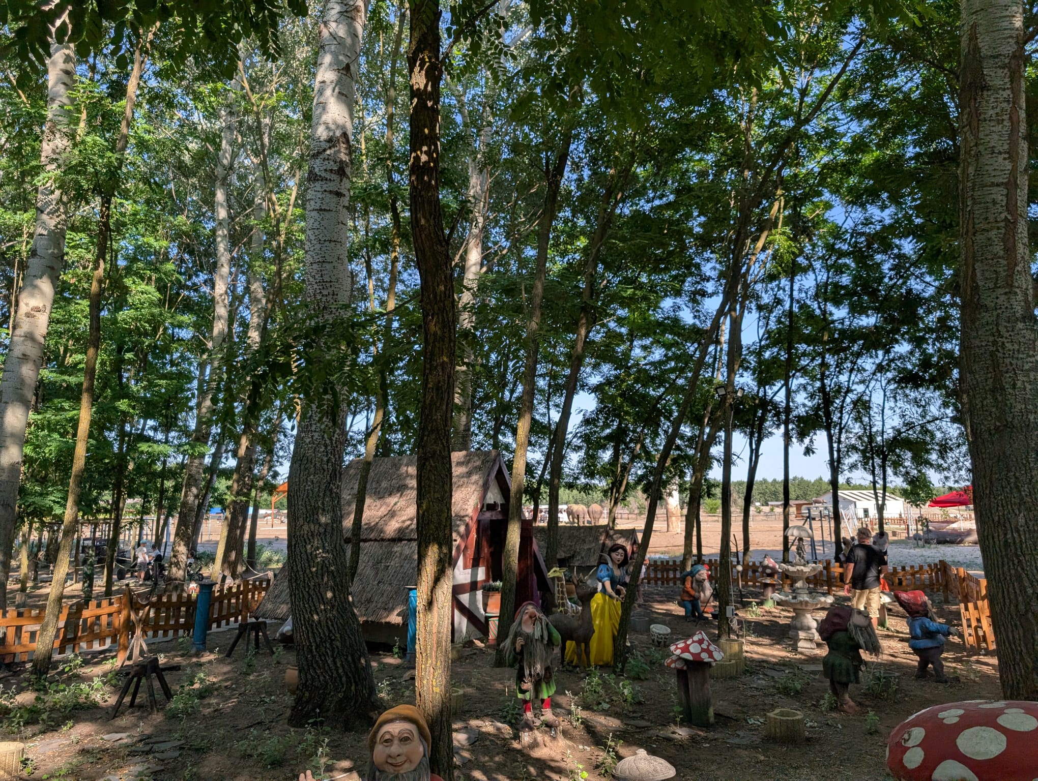 safari richter park (14)