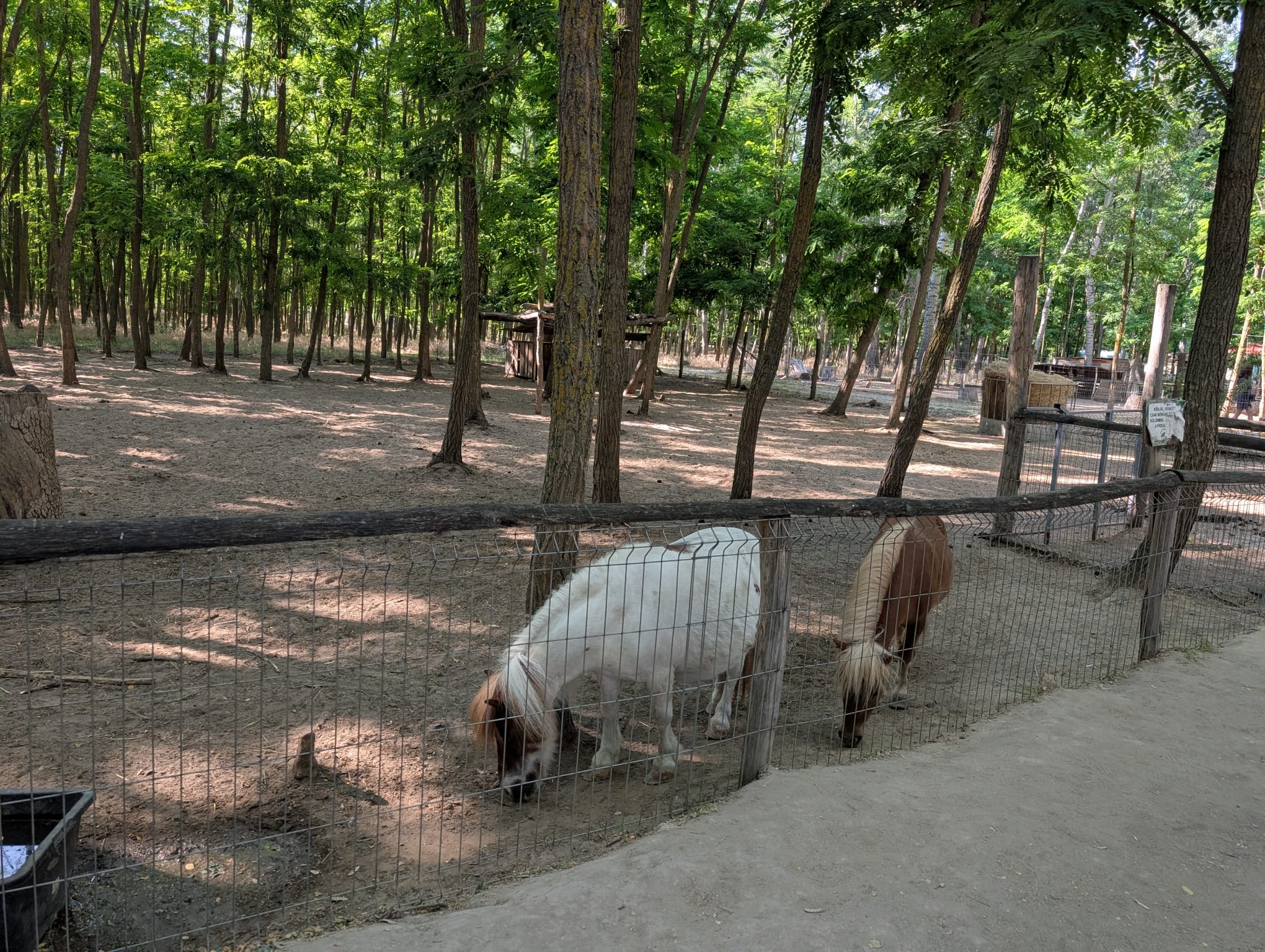 safari richter park (18)