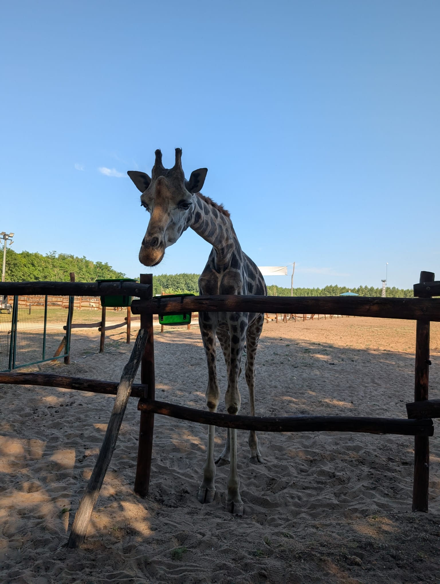 safari richter park (21)