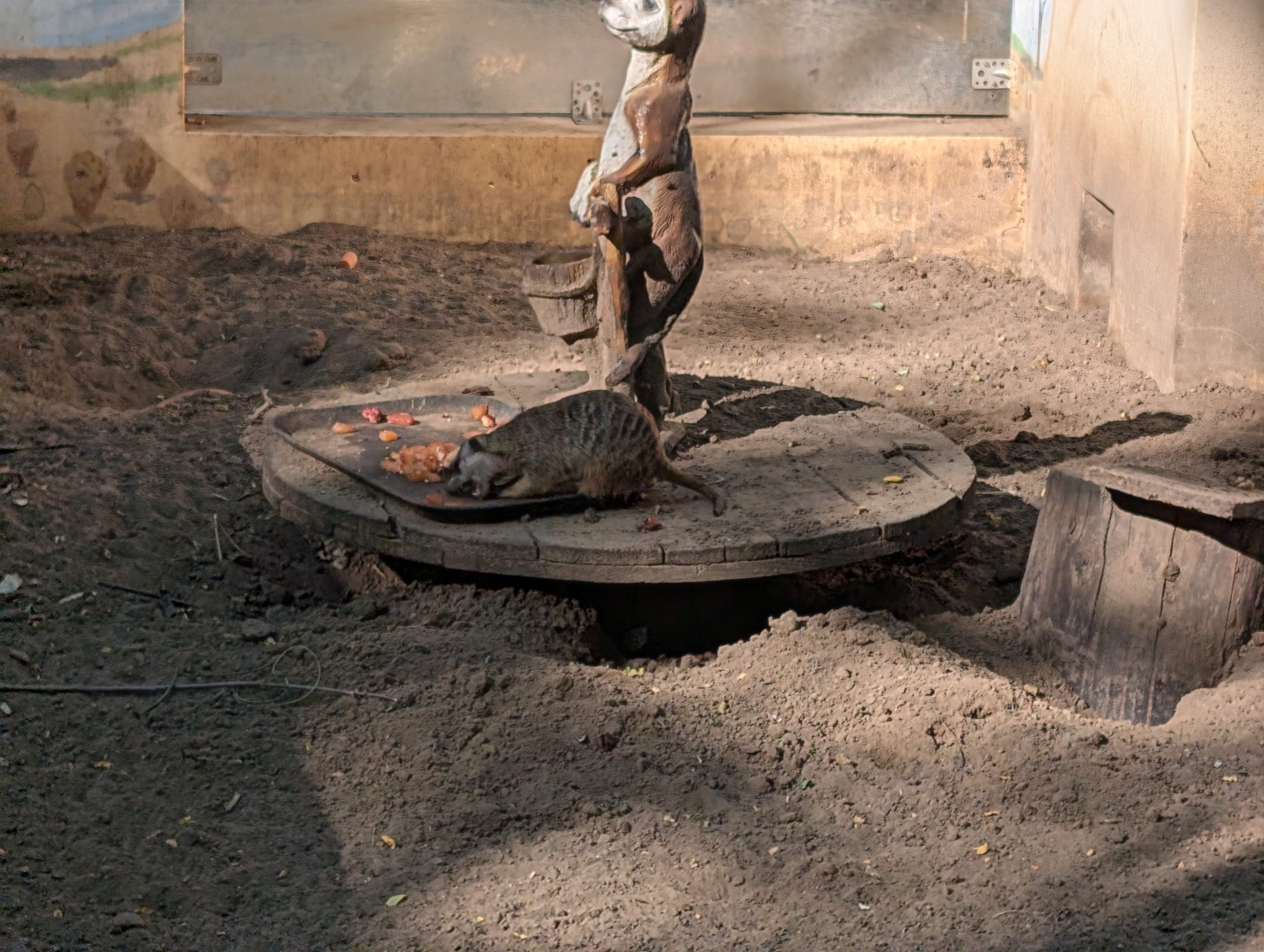 safari richter park (23)