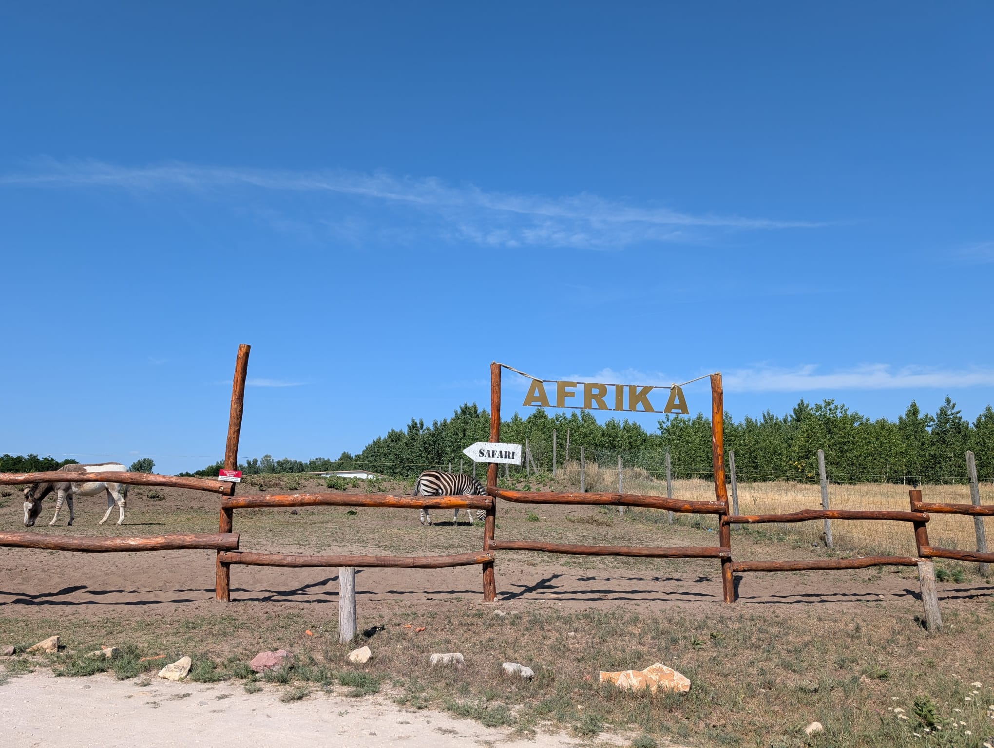 safari richter park (25)