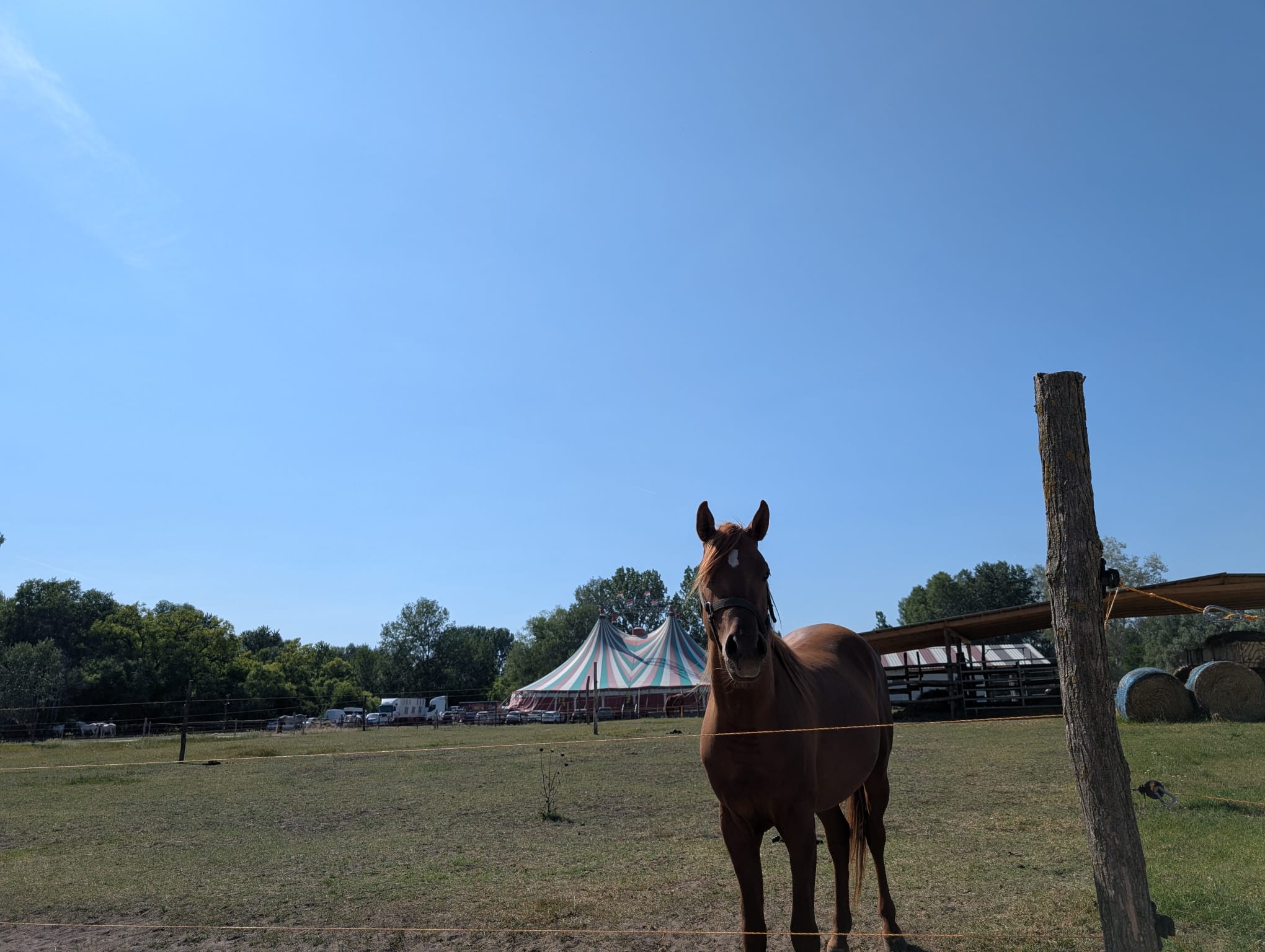 safari richter park (27)