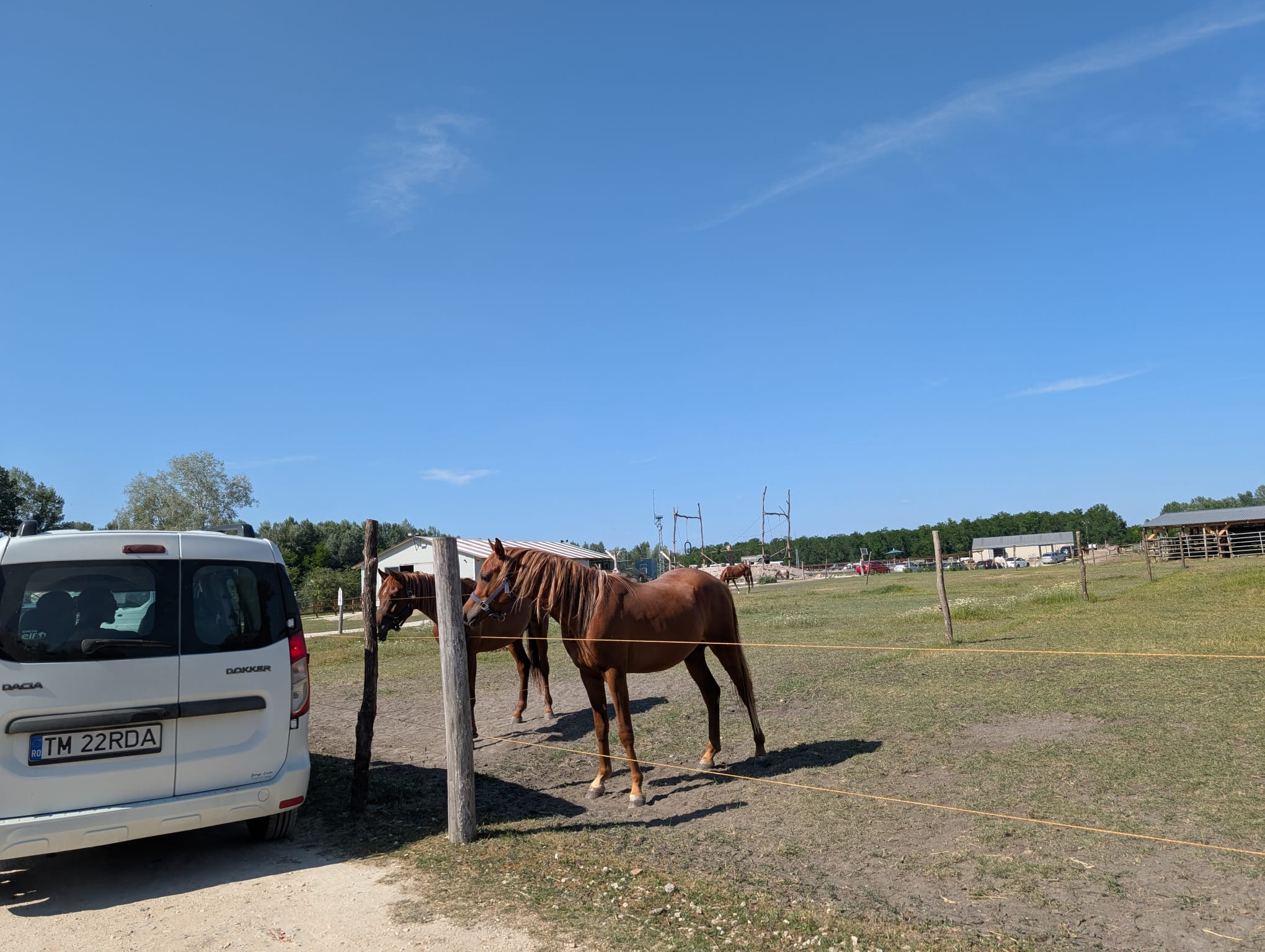 safari richter park (28)