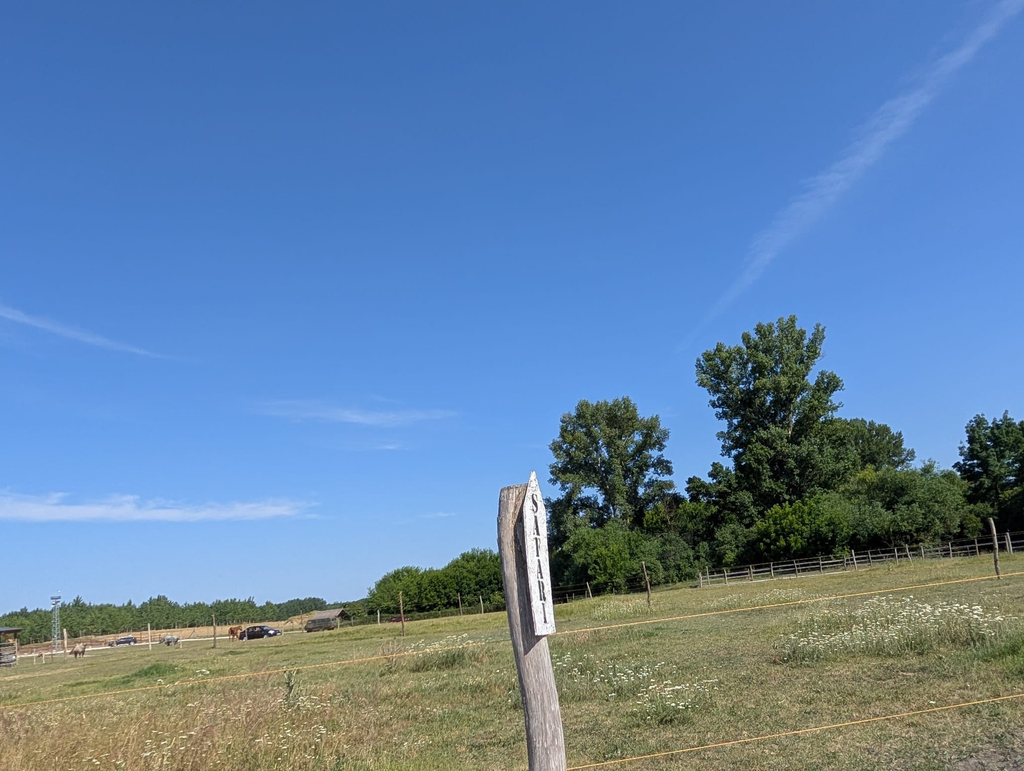 safari richter park (29)