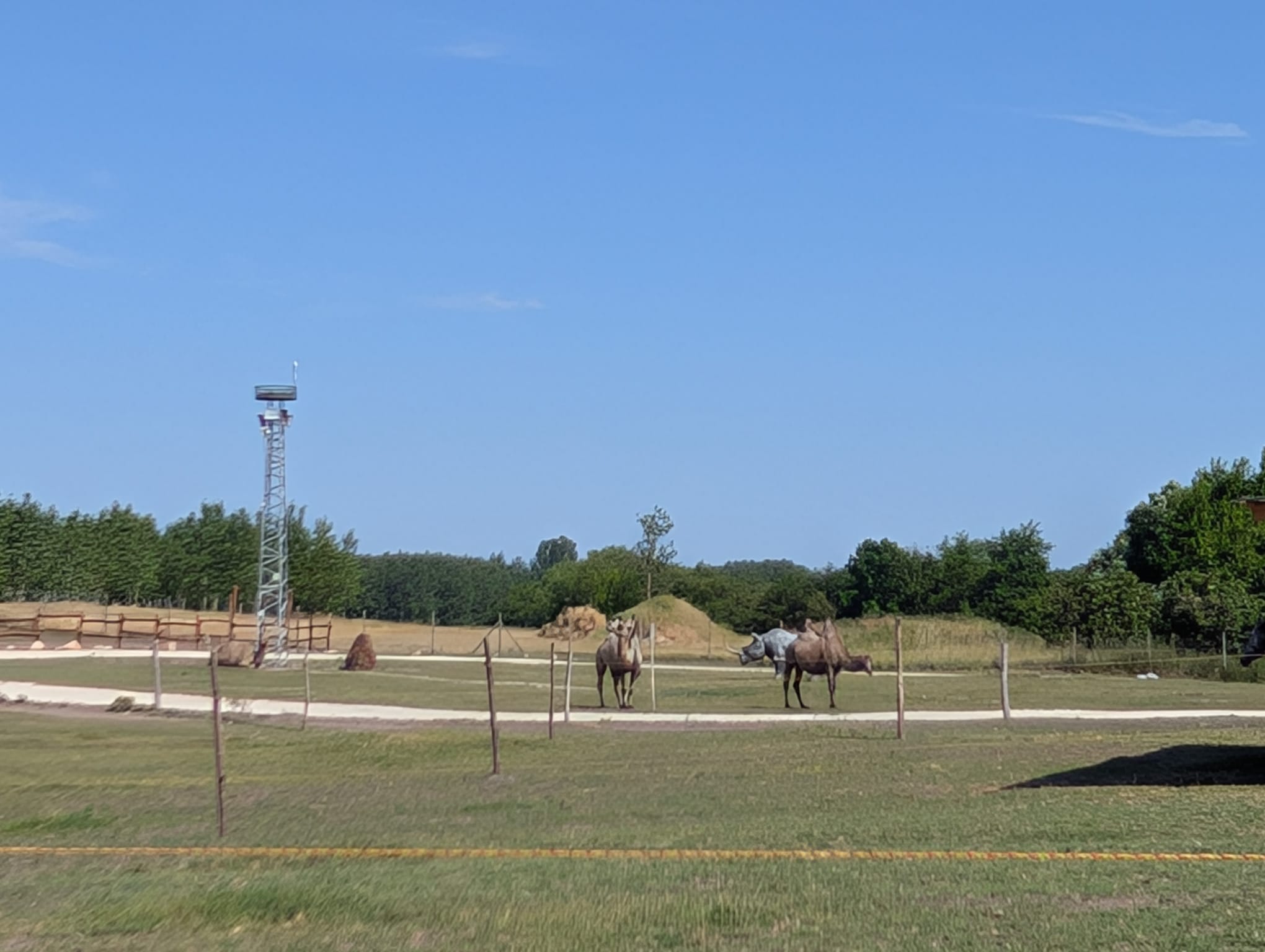 safari richter park (30)