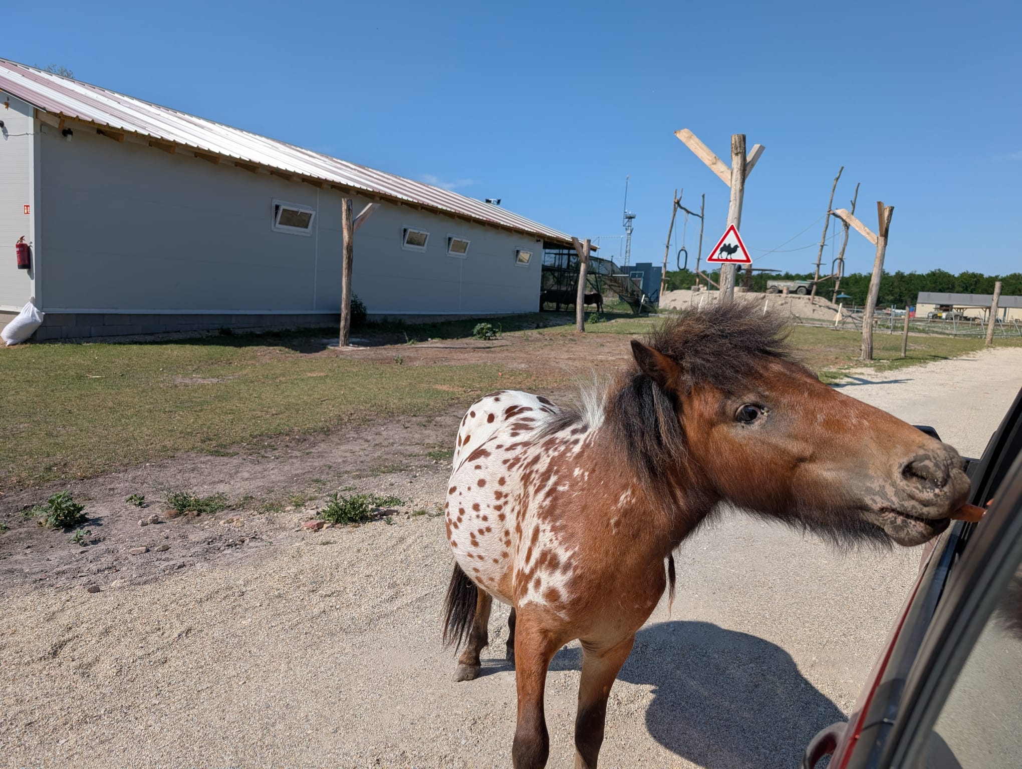 safari richter park (31)