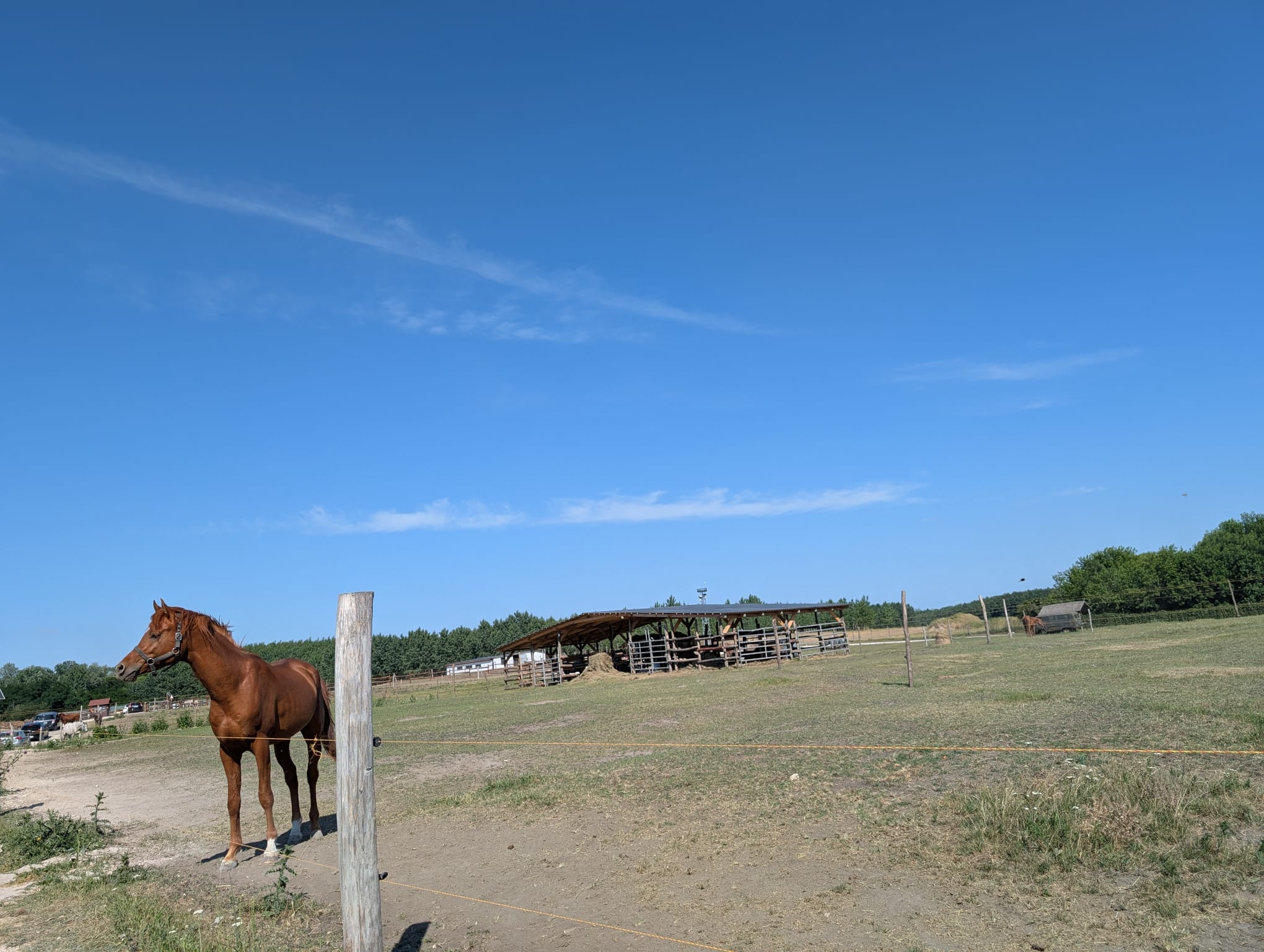 safari richter park (32)