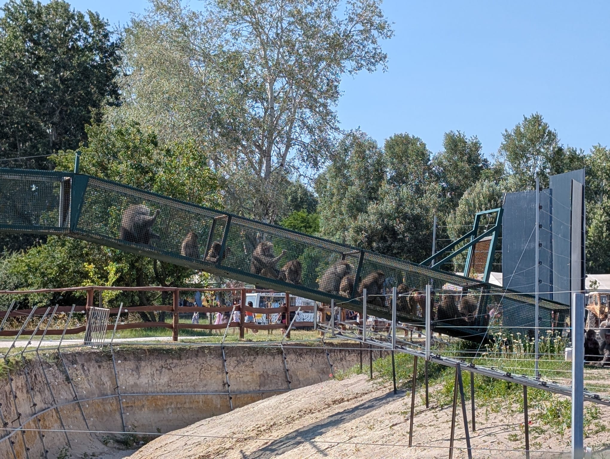 safari richter park (33)