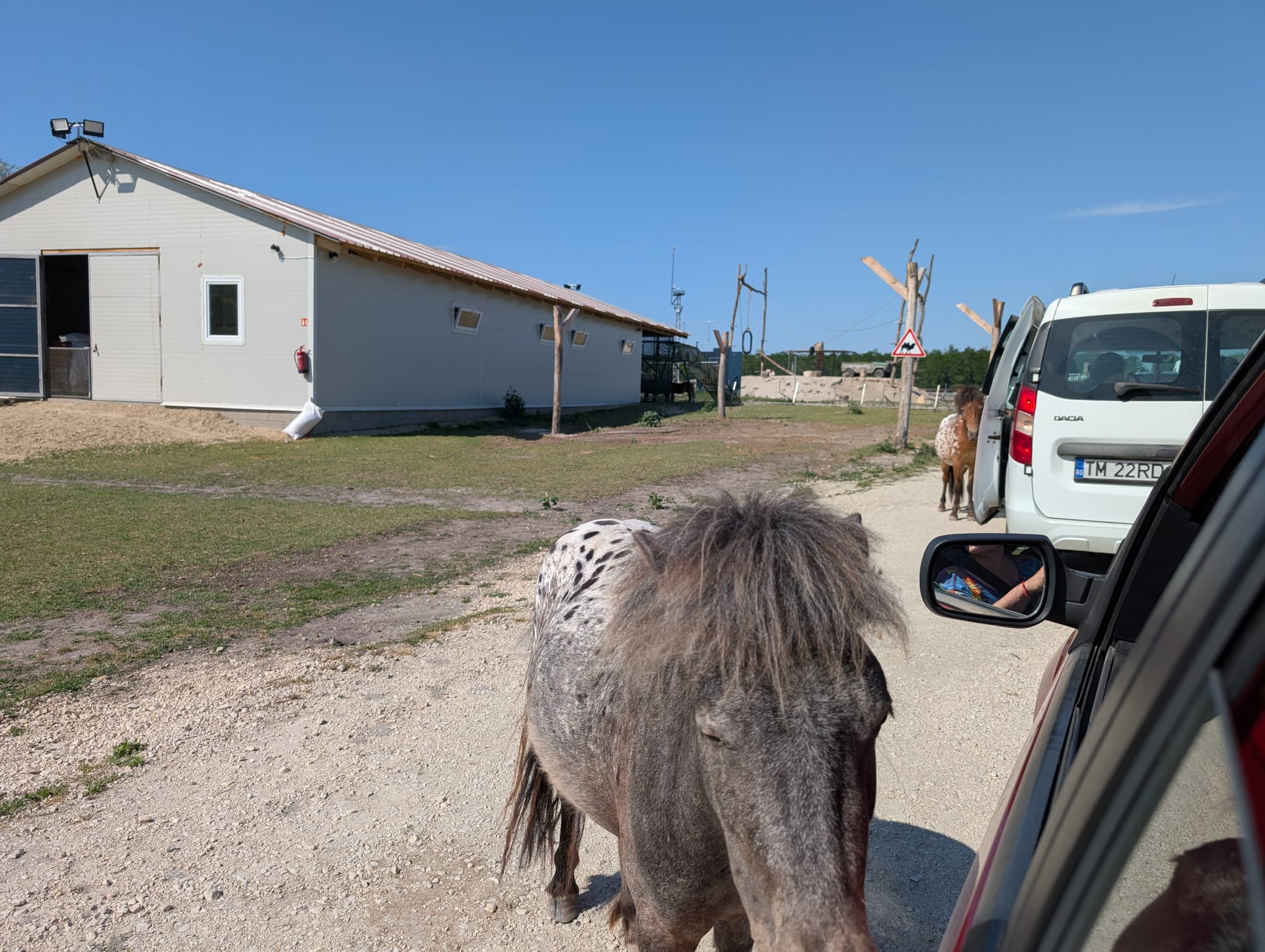 safari richter park (34)