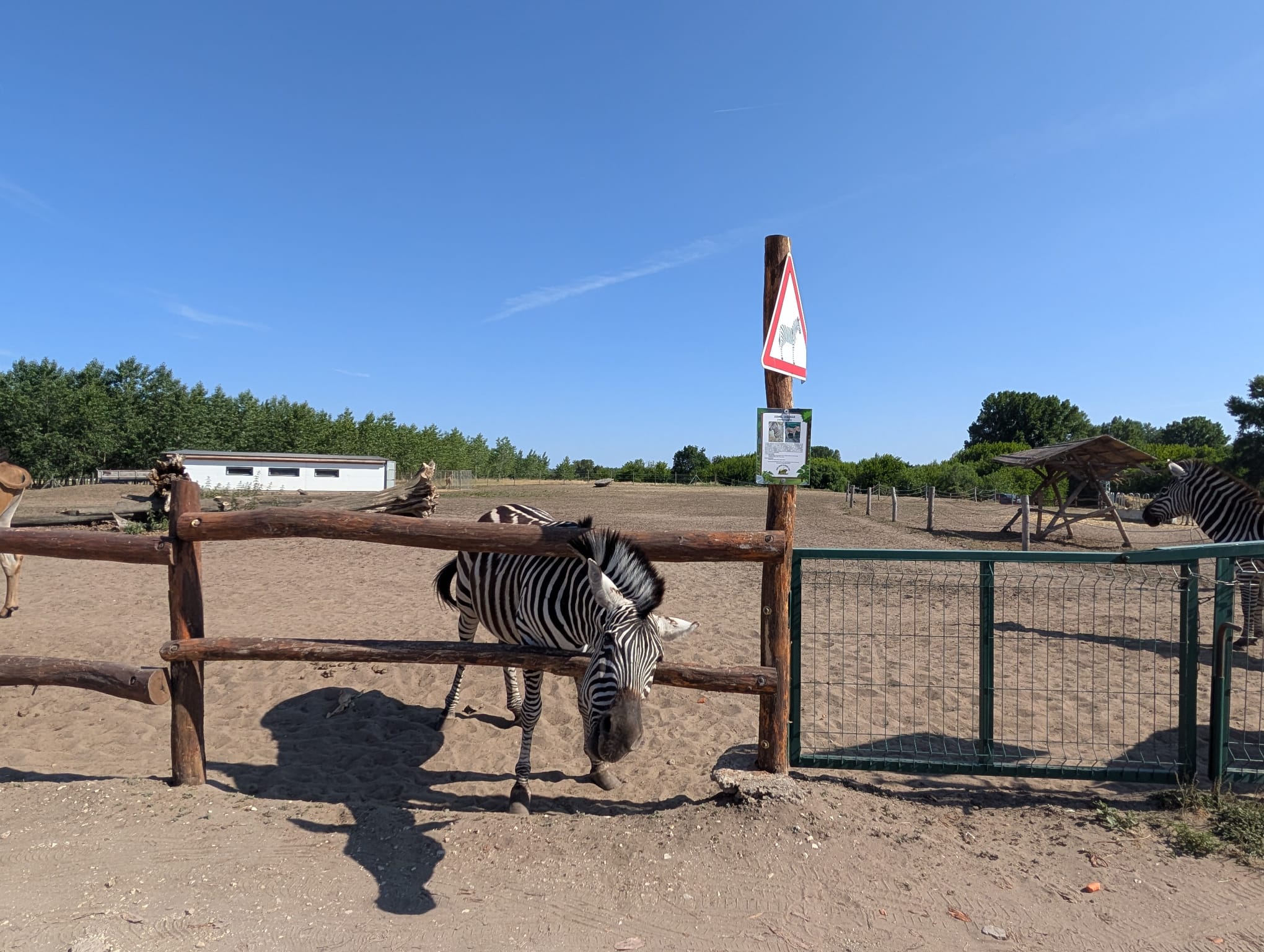 safari richter park (36)