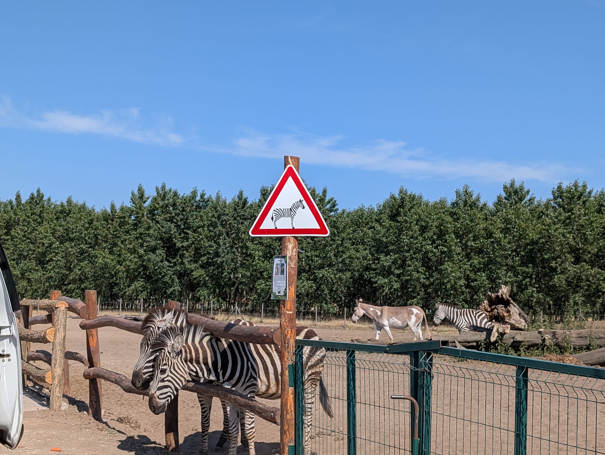 safari richter park (37)