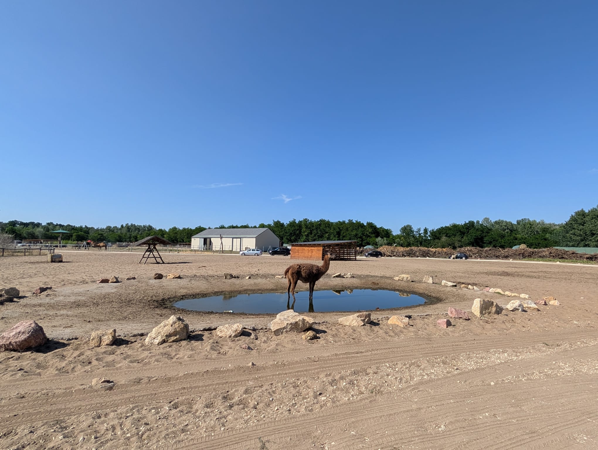 safari richter park (39)