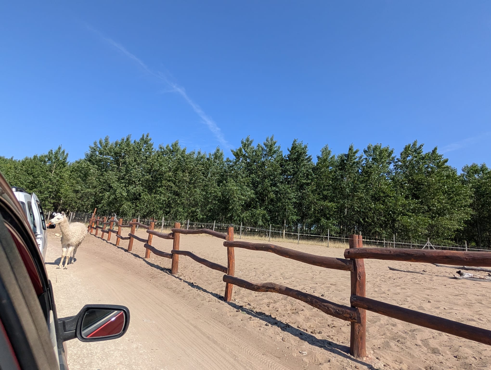 safari richter park (41)