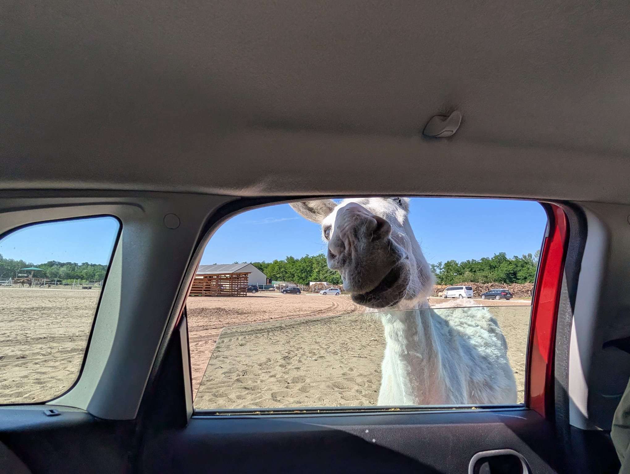 safari richter park (42)